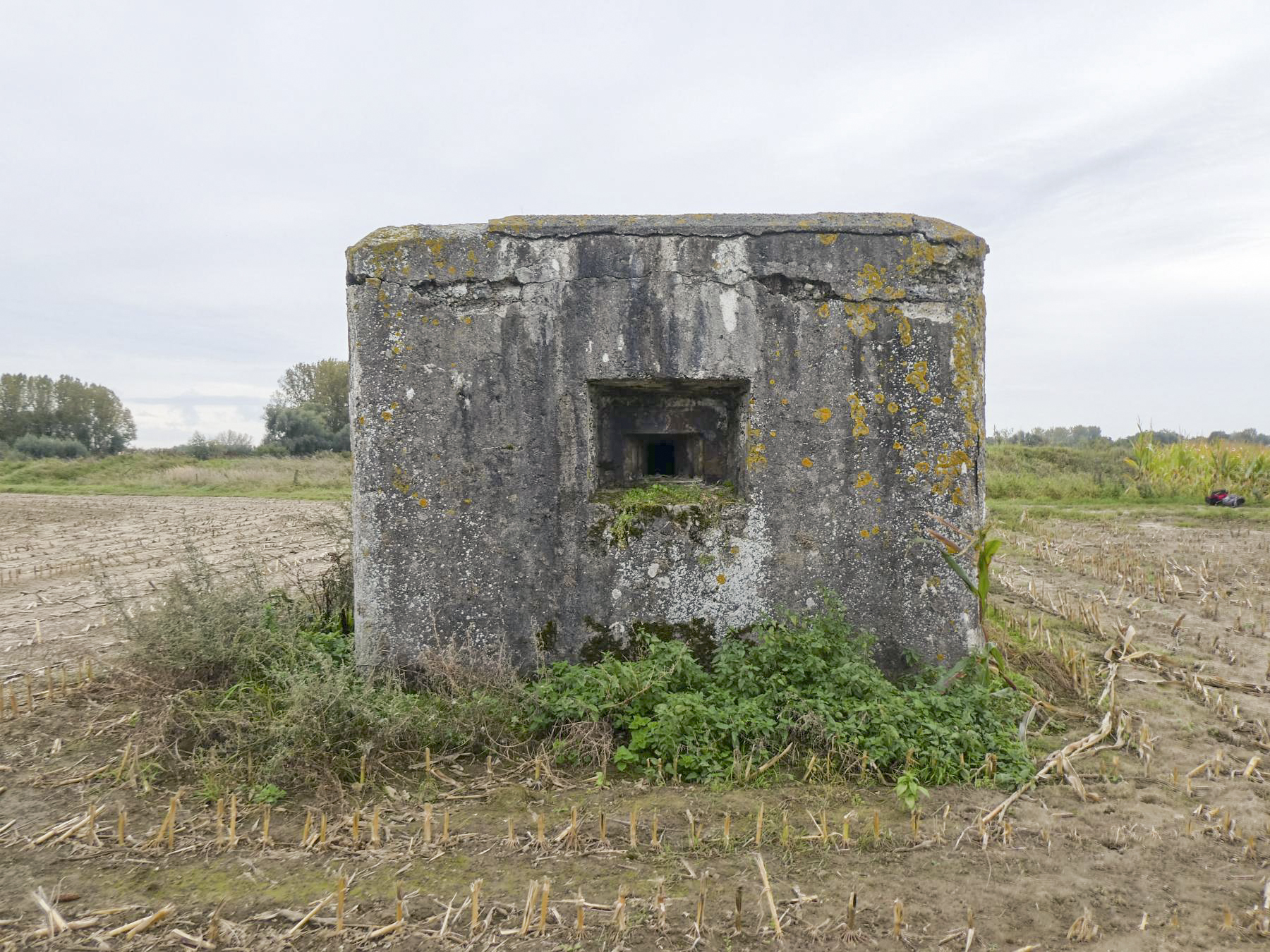 Ligne Maginot - B378 - BOIS MONTOIR (PDS) - (Abri actif) - Le bloc actif frontal - ELLENA Daniel - CUNY Philippe