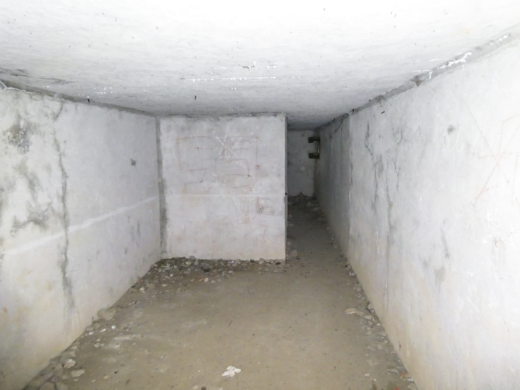 Ligne Maginot - B378 - BOIS MONTOIR (PDS) - (Abri actif) - L'abri  - ELLENA Daniel - CUNY Philippe