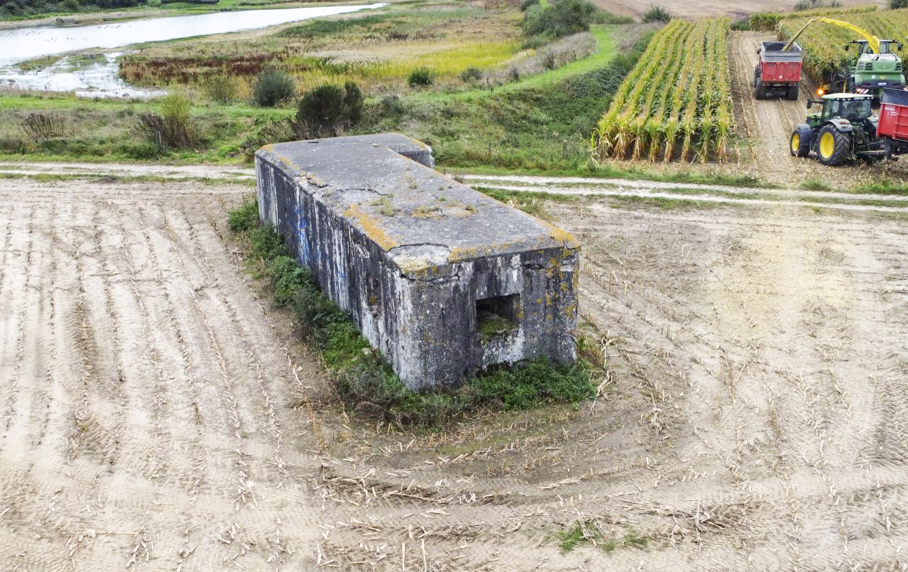 Ligne Maginot - B378 - BOIS MONTOIR (PDS) - (Abri actif) -  - ELLENA Daniel - CUNY Philippe