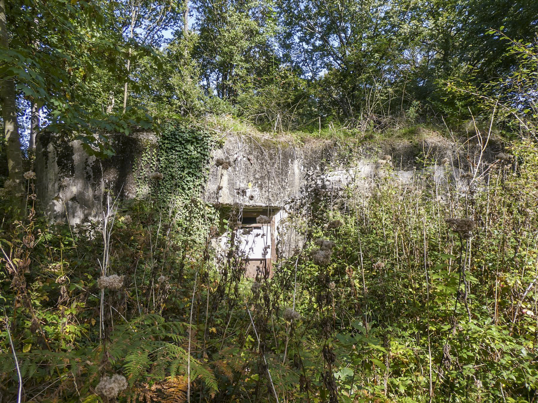 Ligne Maginot - LIEVRE EST - C8 - (Casemate d'infanterie - Simple) -  - ELLENA Daniel - CUNY Philippe