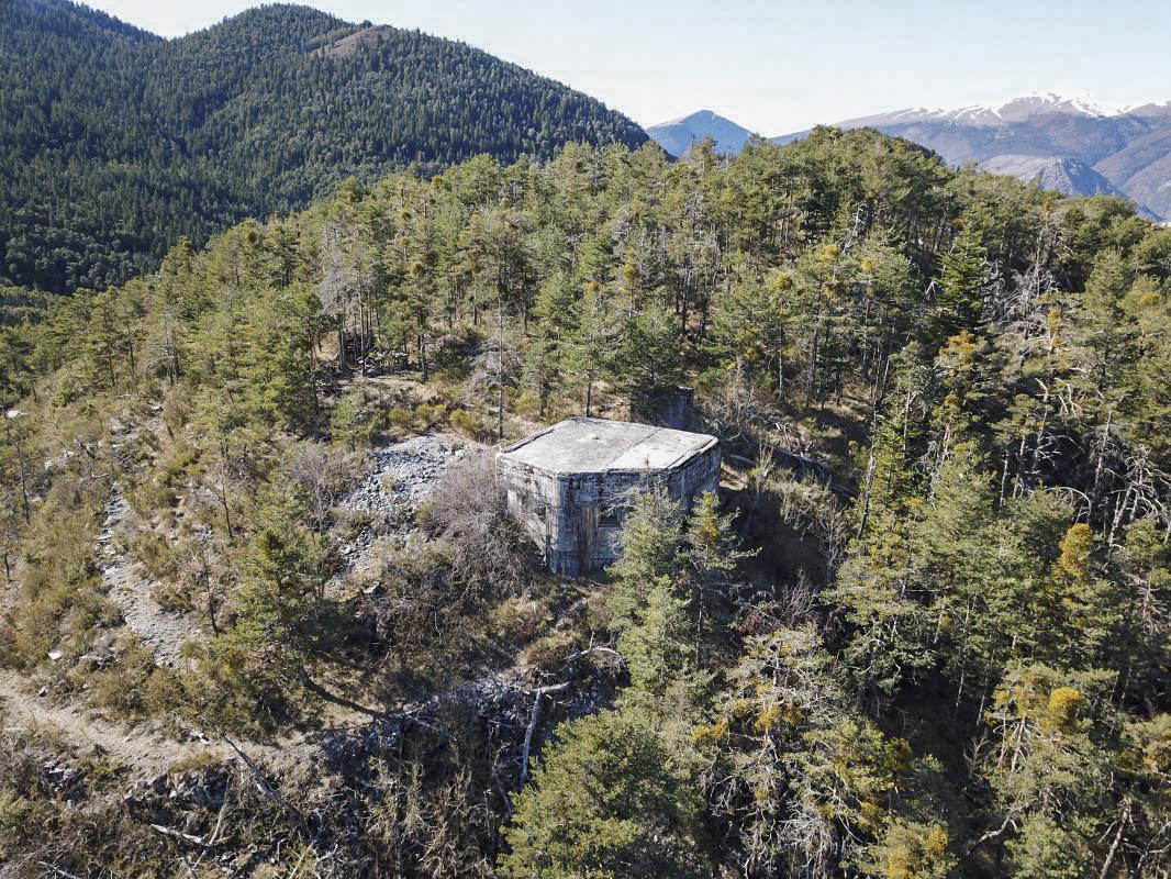 Ligne Maginot - O38 - PETITE TETIERE - (Casemate d'infanterie) -  - ELLENA - CUNY