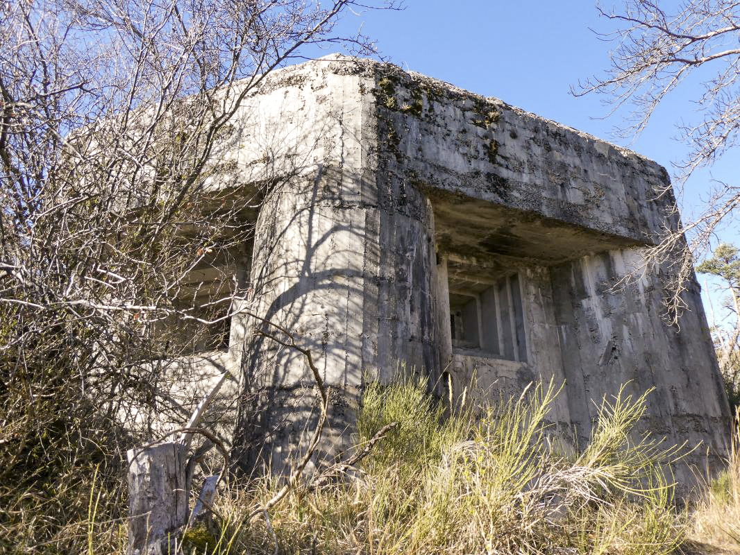 Ligne Maginot - O38 - PETITE TETIERE - (Casemate d'infanterie) - 