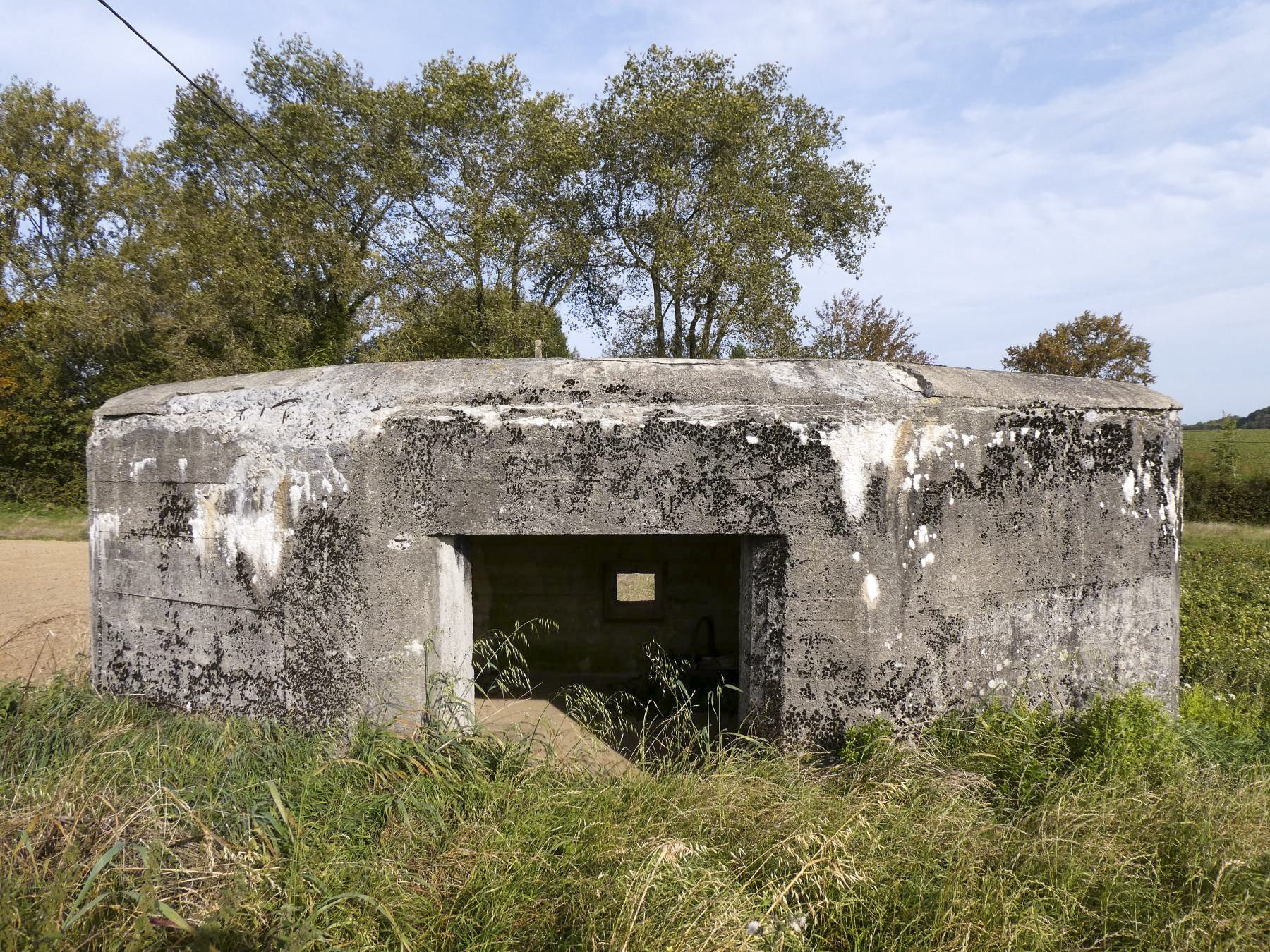 Ligne Maginot - B613 - LA PISSELOTTE - (Blockhaus pour canon) -  - ELLENA Daniel - CUNY Philippe