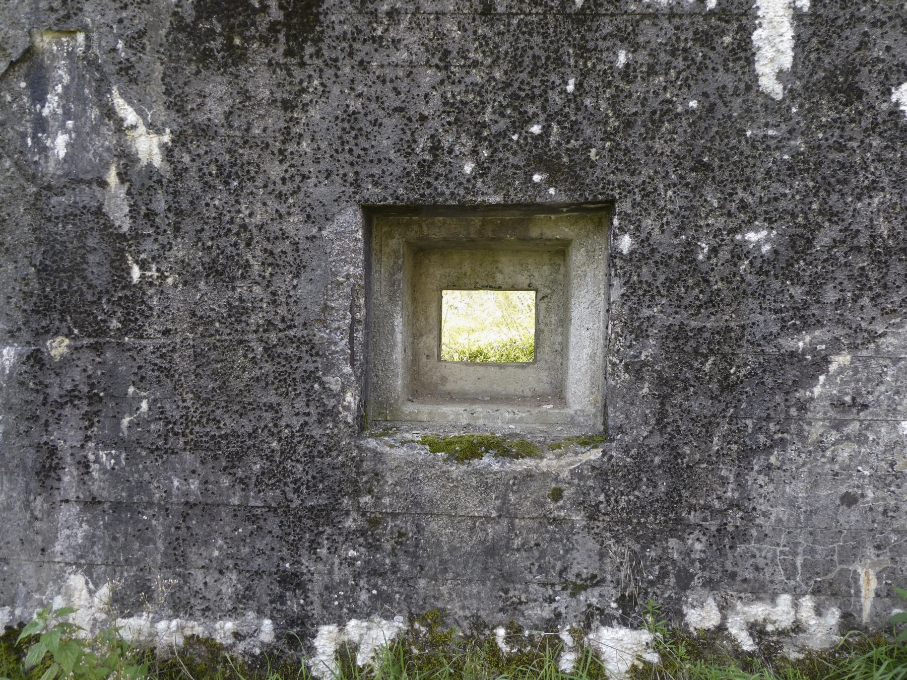 Ligne Maginot - B613 - LA PISSELOTTE - (Blockhaus pour canon) - Le créneau FM - ELLENA Daniel - CUNY Philippe