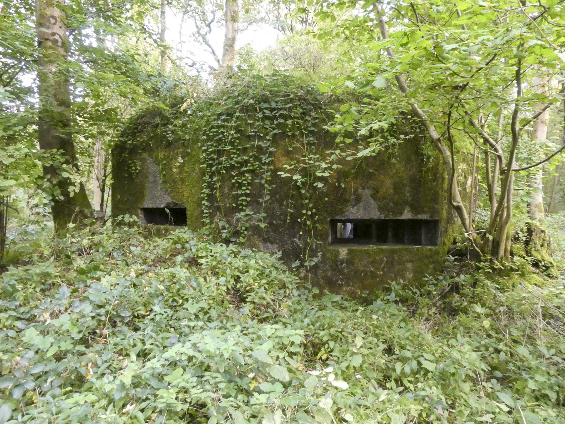 Ligne Maginot - B593 - BOIS DES LANIERES 5 - (Blockhaus pour canon) -  - ELLENA Daniel - CUNY Philippe