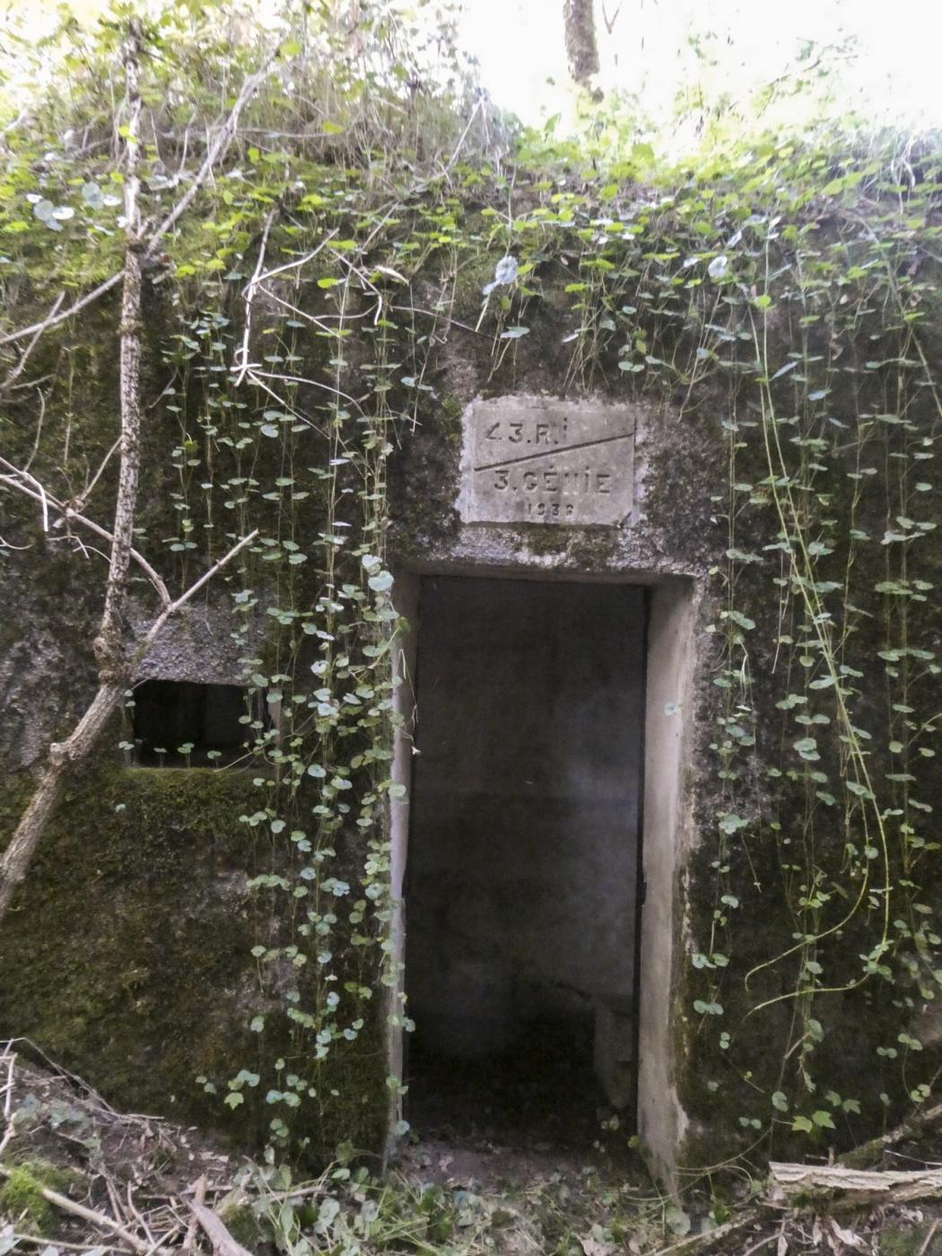 Ligne Maginot - B593 - BOIS DES LANIERES 5 - (Blockhaus pour canon) -  - ELLENA Daniel - CUNY Philippe