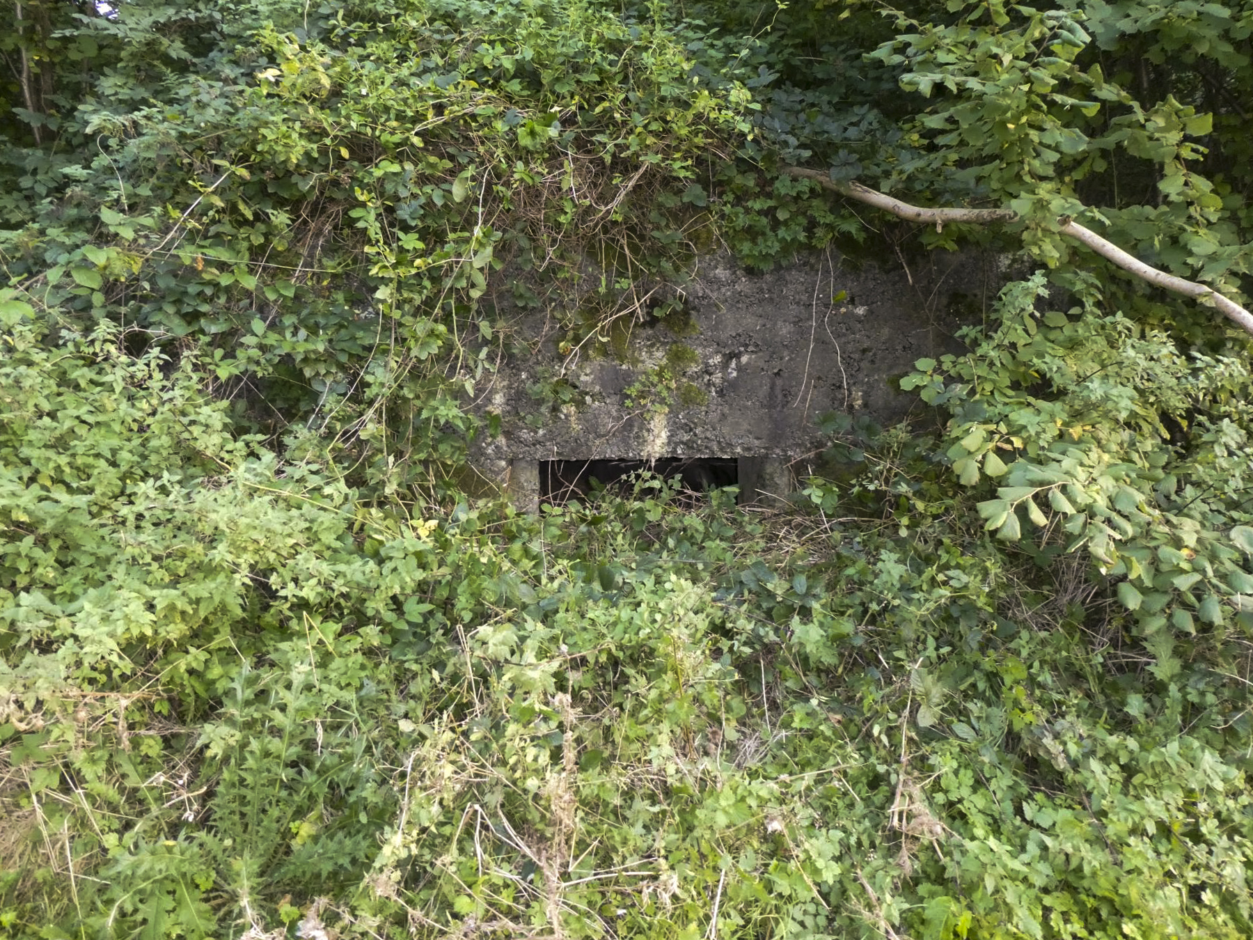 Ligne Maginot - LANIERE OUEST - (Blockhaus pour arme infanterie) -  - ELLENA Daniel - CUNY Philippe