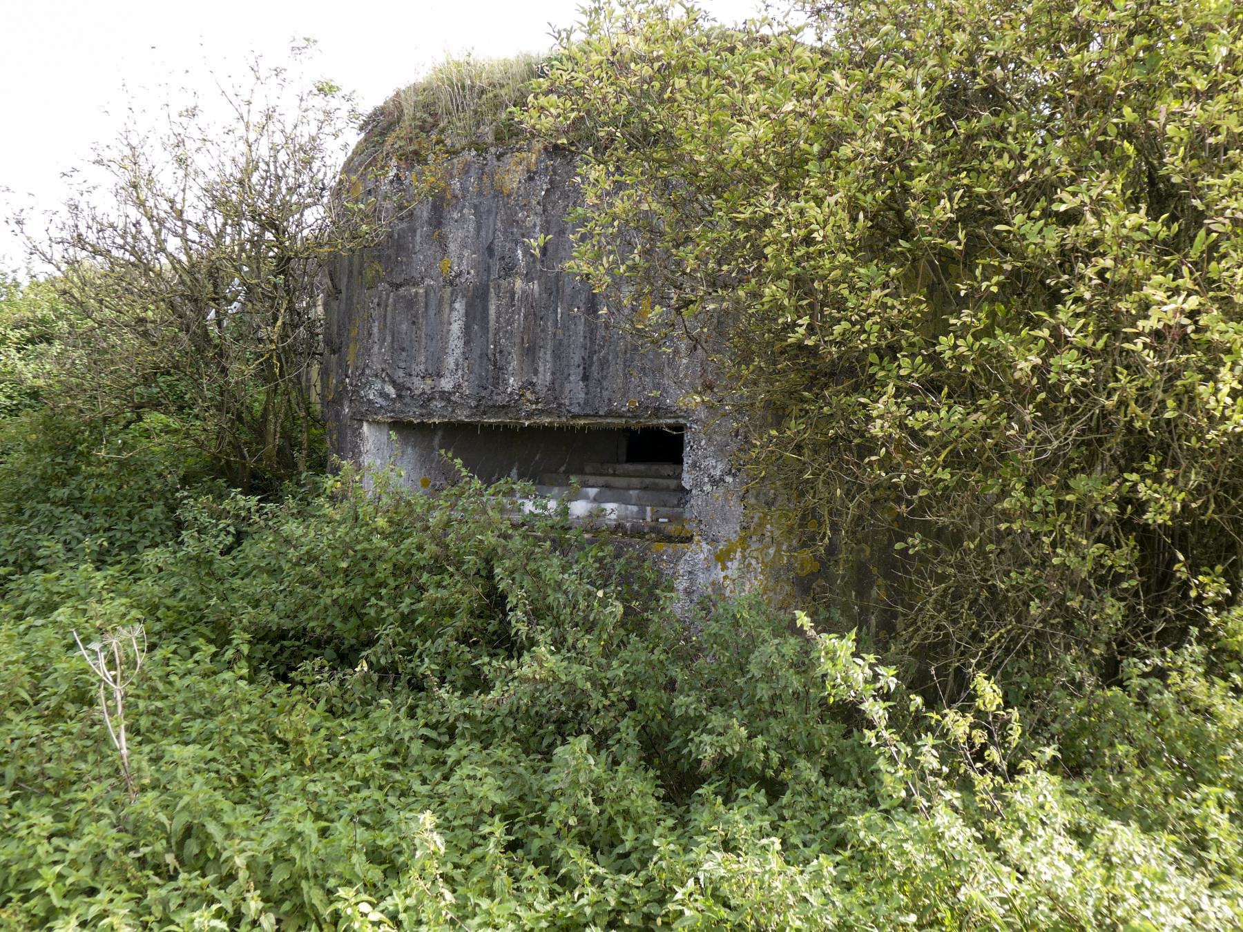 Ligne Maginot - A58 - JENLAIN OUEST - (Blockhaus lourd type STG / STG-FCR - Double) - Créneau d'observation frontal - ELLENA Daniel - CUNY Philippe