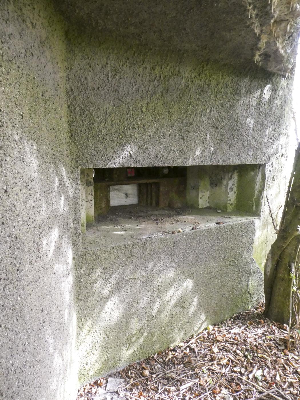 Ligne Maginot - LE CORBEAU - (Blockhaus pour canon) - Un des deux créneaux avec trémie Pamart-Lemaigre - ELLENA Daniel - CUNY Philippe