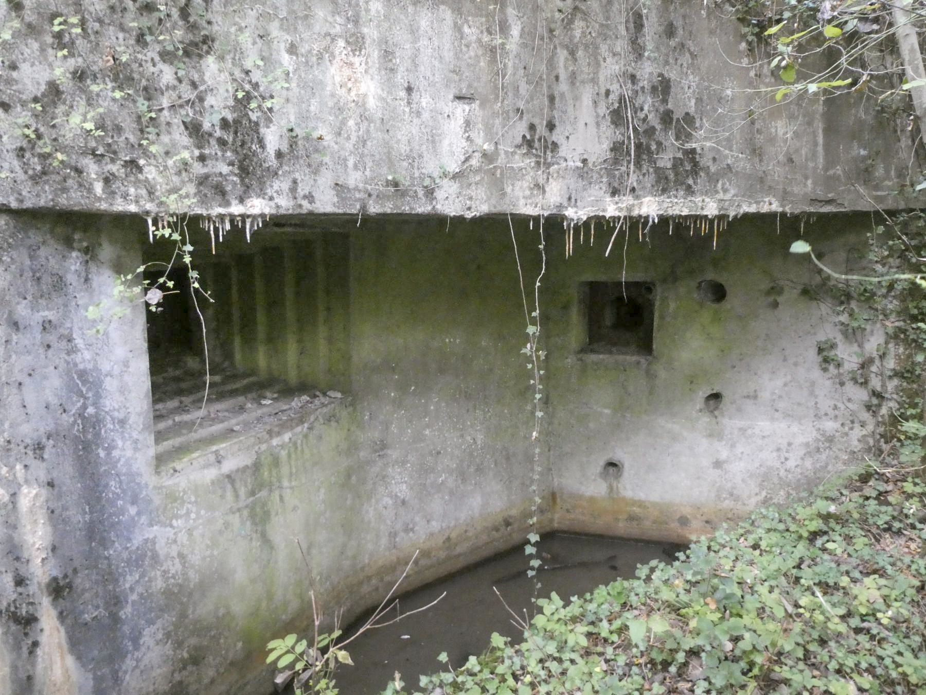 Ligne Maginot - MARLIERES - C4 - (Casemate d'infanterie - Simple) - Le créneau de 47 mm - ELLENA Daniel - CUNY Philippe