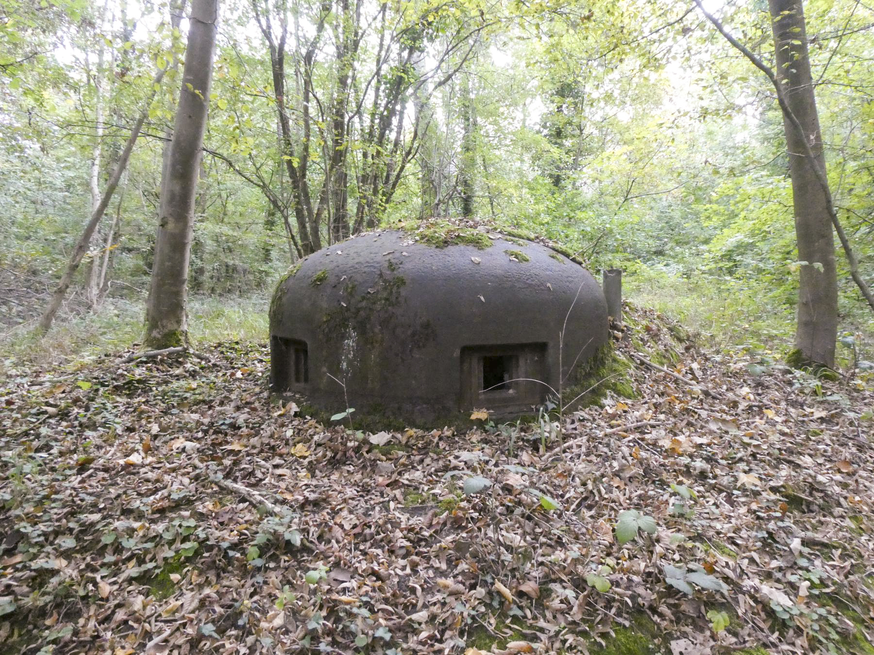 Ligne Maginot - MARLIERES - C4 - (Casemate d'infanterie - Simple) - La cloche GFM - ELLENA Daniel - CUNY Philippe