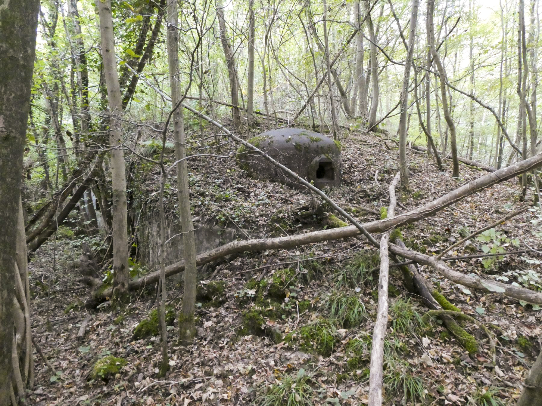 Ligne Maginot - MARLIERES - C4 - (Casemate d'infanterie - Simple) - La cloche JM convertie en AM - ELLENA Daniel - CUNY Philippe
