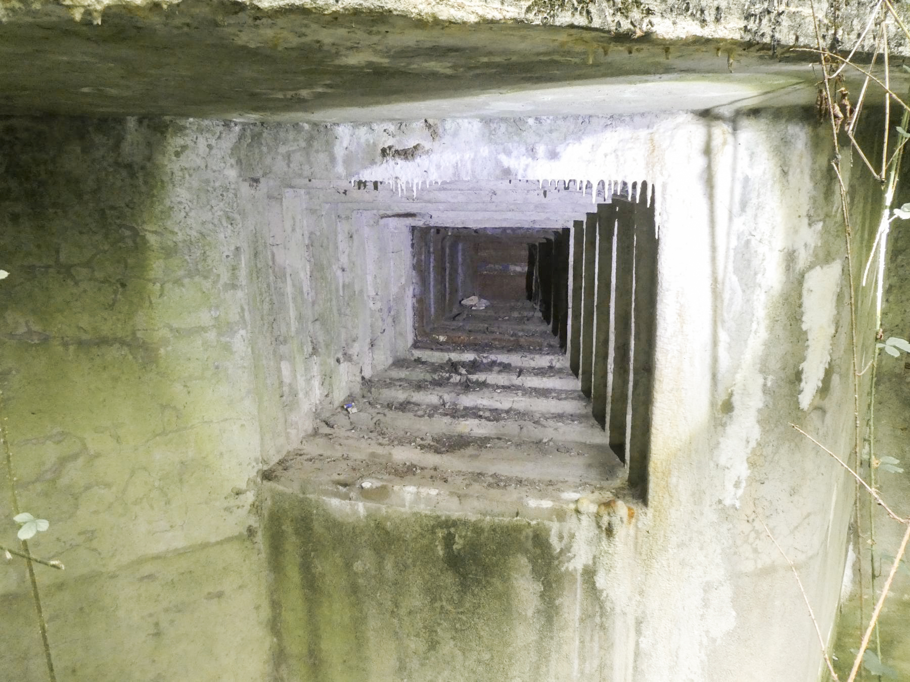 Ligne Maginot - ROSIERES - C3 - (Casemate d'infanterie - Simple) - Créneau JM - ELLENA Daniel - CUNY Philippe