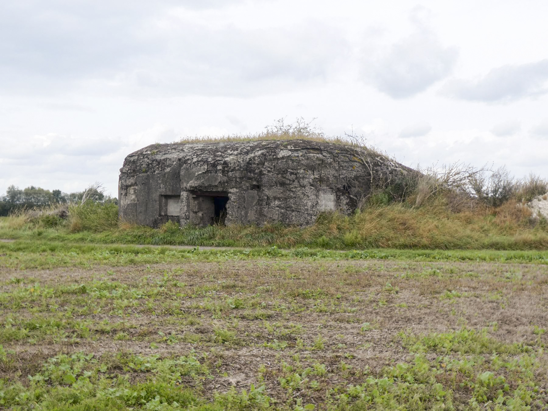 Ligne Maginot - SUD DE BRUILLE - (Blockhaus pour canon) - Côté entrée - ELLENA Daniel - CUNY Philippe