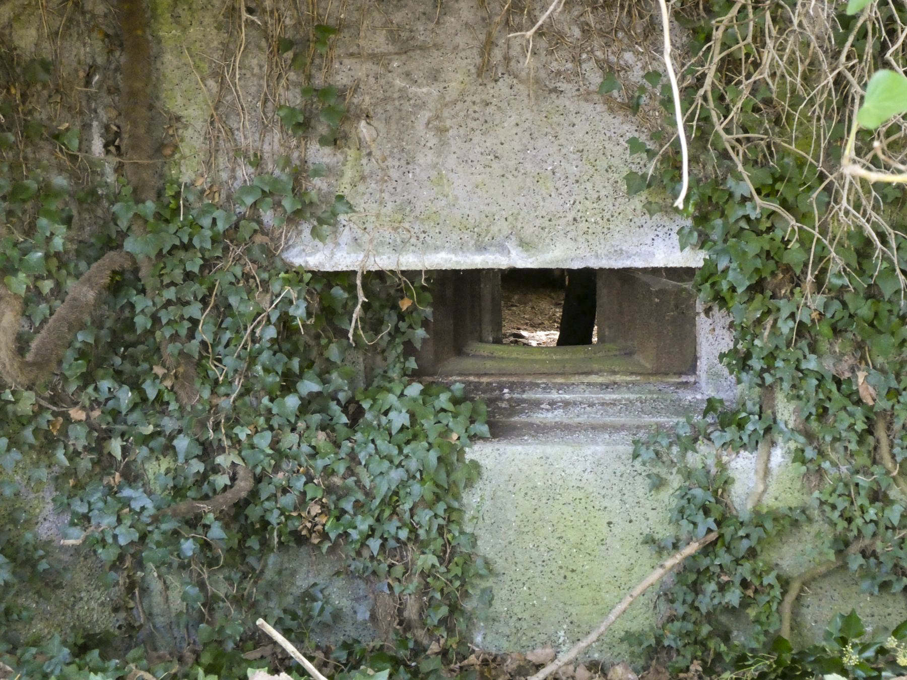 Ligne Maginot - RODIGNIES EST - (Casemate d'infanterie - Double) -   Créneau pour mitrailleuse Hotchkiss  - ELLENA Daniel - CUNY Philippe