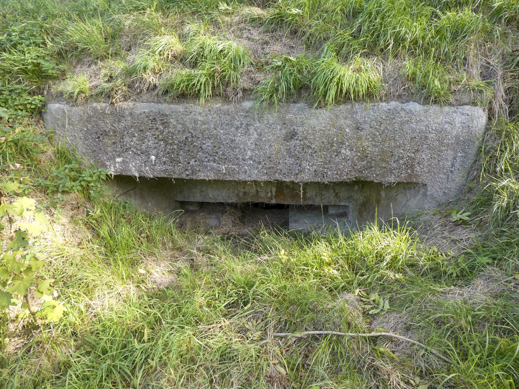 Ligne Maginot - B427 - CONDE 5 - (Blockhaus pour arme infanterie) -  - ELLENA Daniel - CUNY Philippe