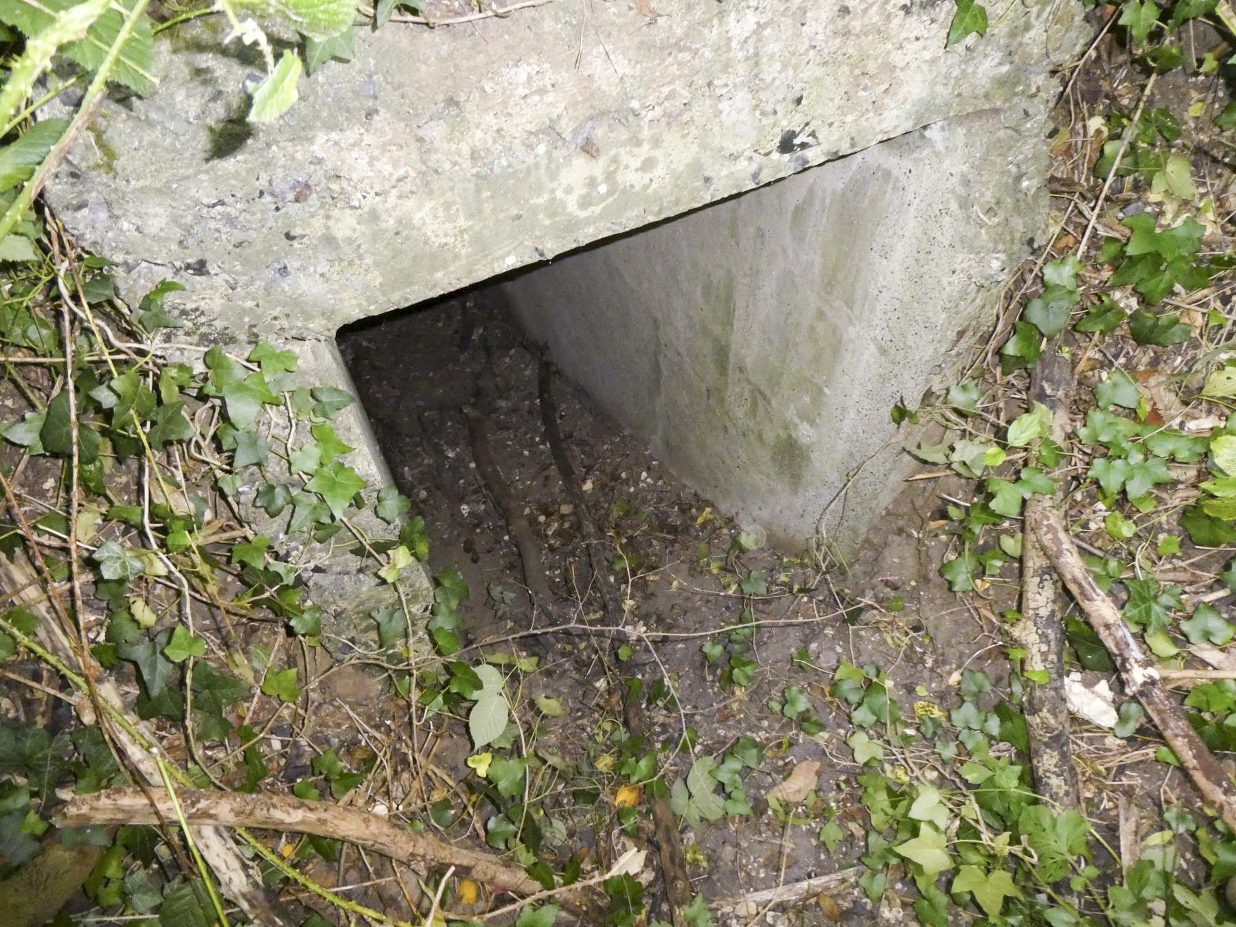 Ligne Maginot - B427 - CONDE 5 - (Blockhaus pour arme infanterie) - L'entrée - ELLENA Daniel - CUNY Philippe