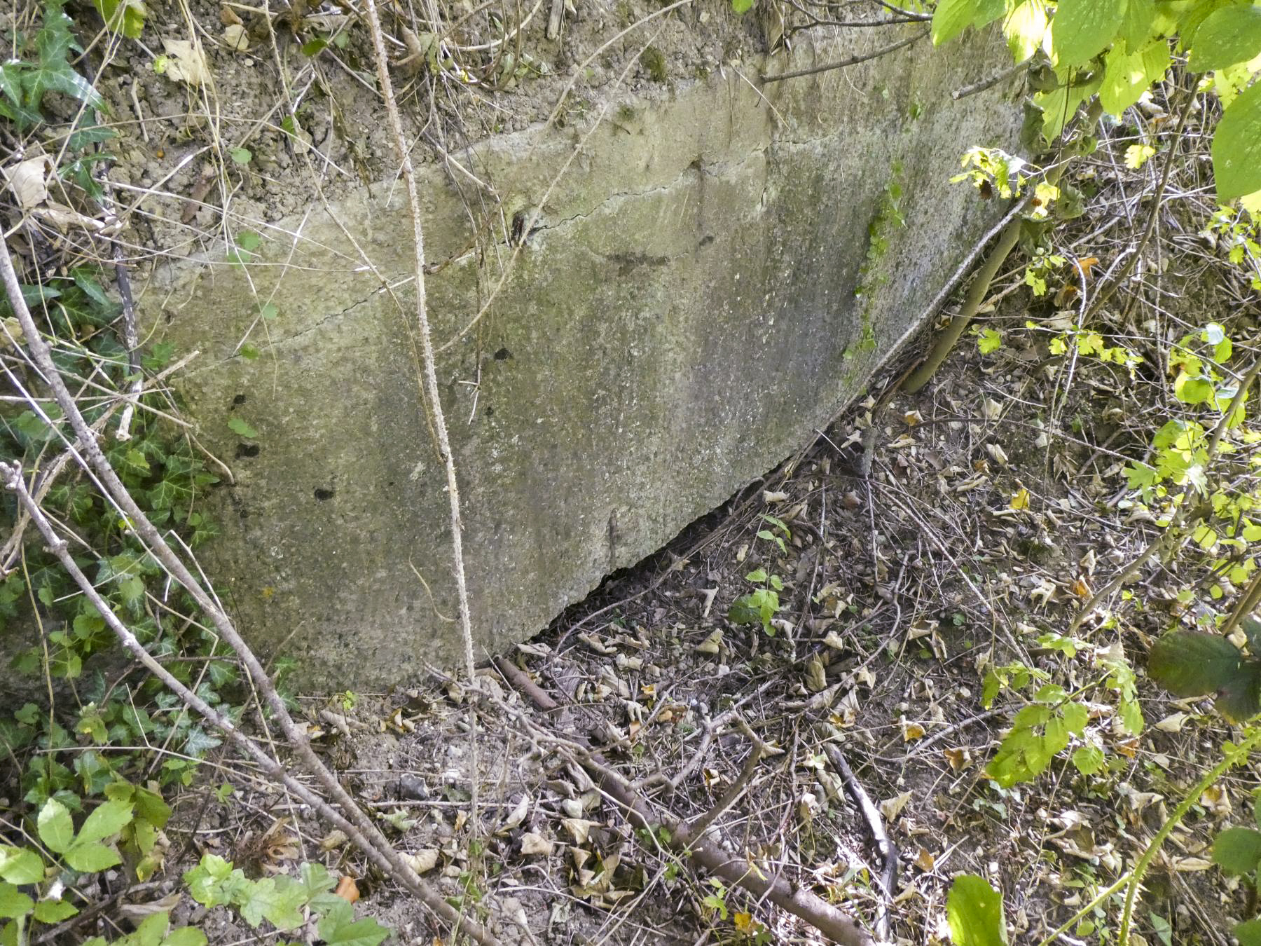 Ligne Maginot - B429 - CONDE 8 - (Blockhaus pour arme infanterie) -  - ELLENA Daniel - CUNY Philippe