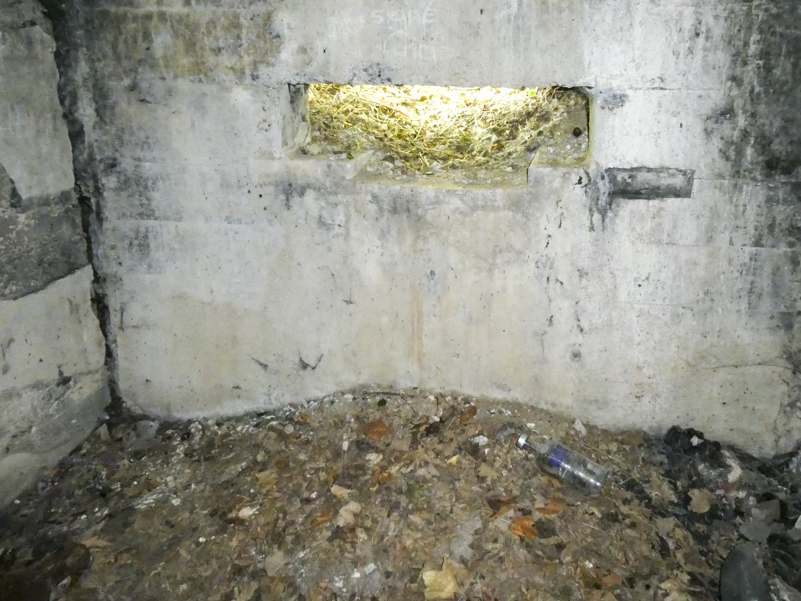 Ligne Maginot - B429 - CONDE 8 - (Blockhaus pour arme infanterie) -  - ELLENA Daniel - CUNY Philippe