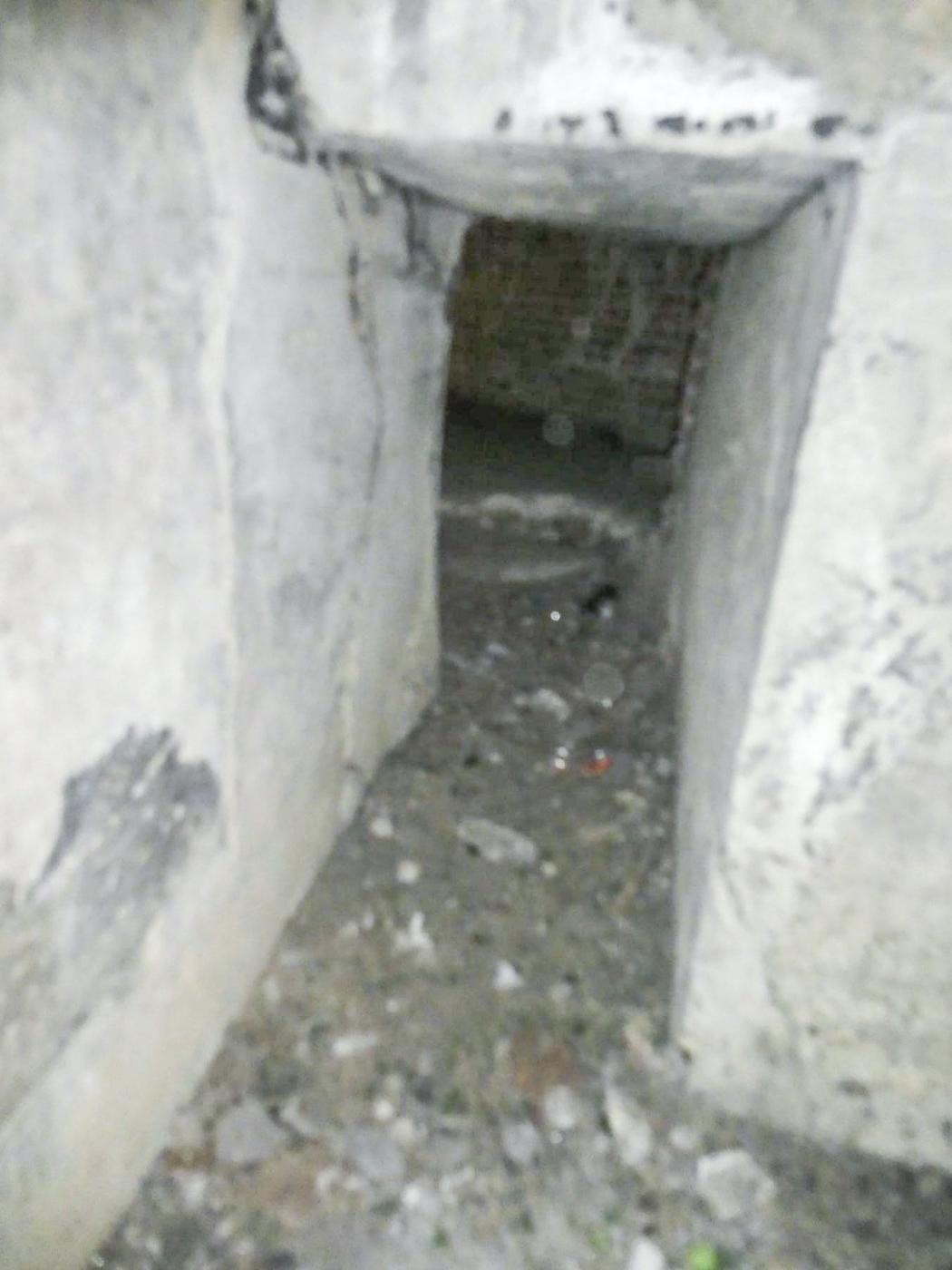 Ligne Maginot - B429 - CONDE 8 - (Blockhaus pour arme infanterie) -  - ELLENA Daniel - CUNY Philippe