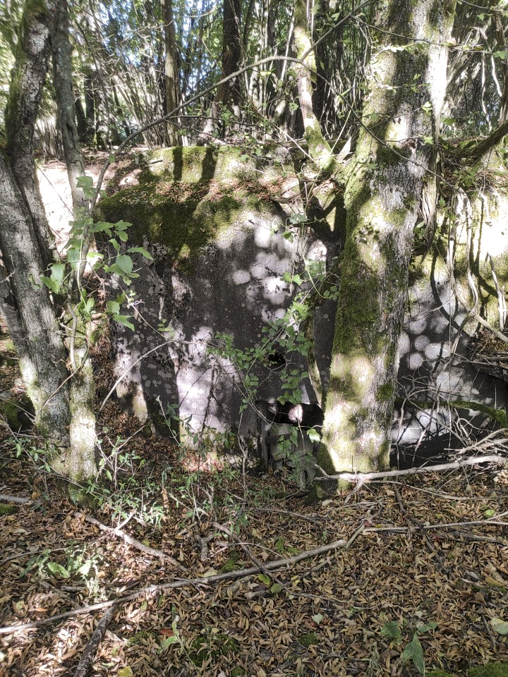 Ligne Maginot - AB313 - ROSSELN 2 - (Blockhaus pour canon) - Vue de côté.  - BlackMamba73