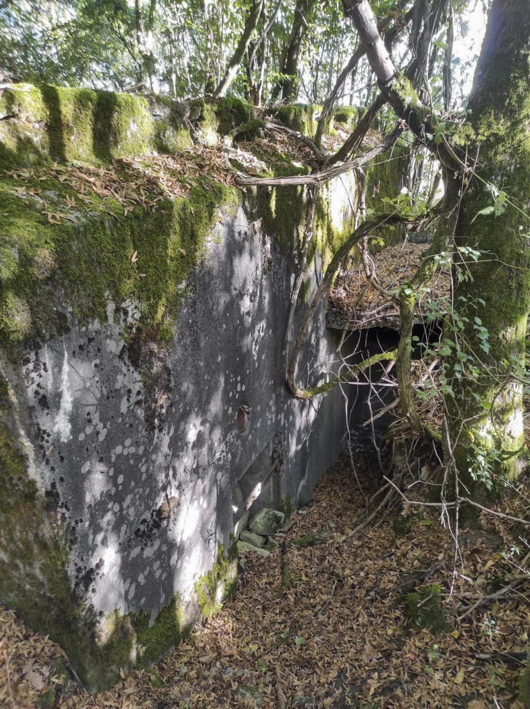 Ligne Maginot - AB313 - ROSSELN 2 - (Blockhaus pour canon) - Guérite d'observation accolée à la casemate.  - BlackMamba73