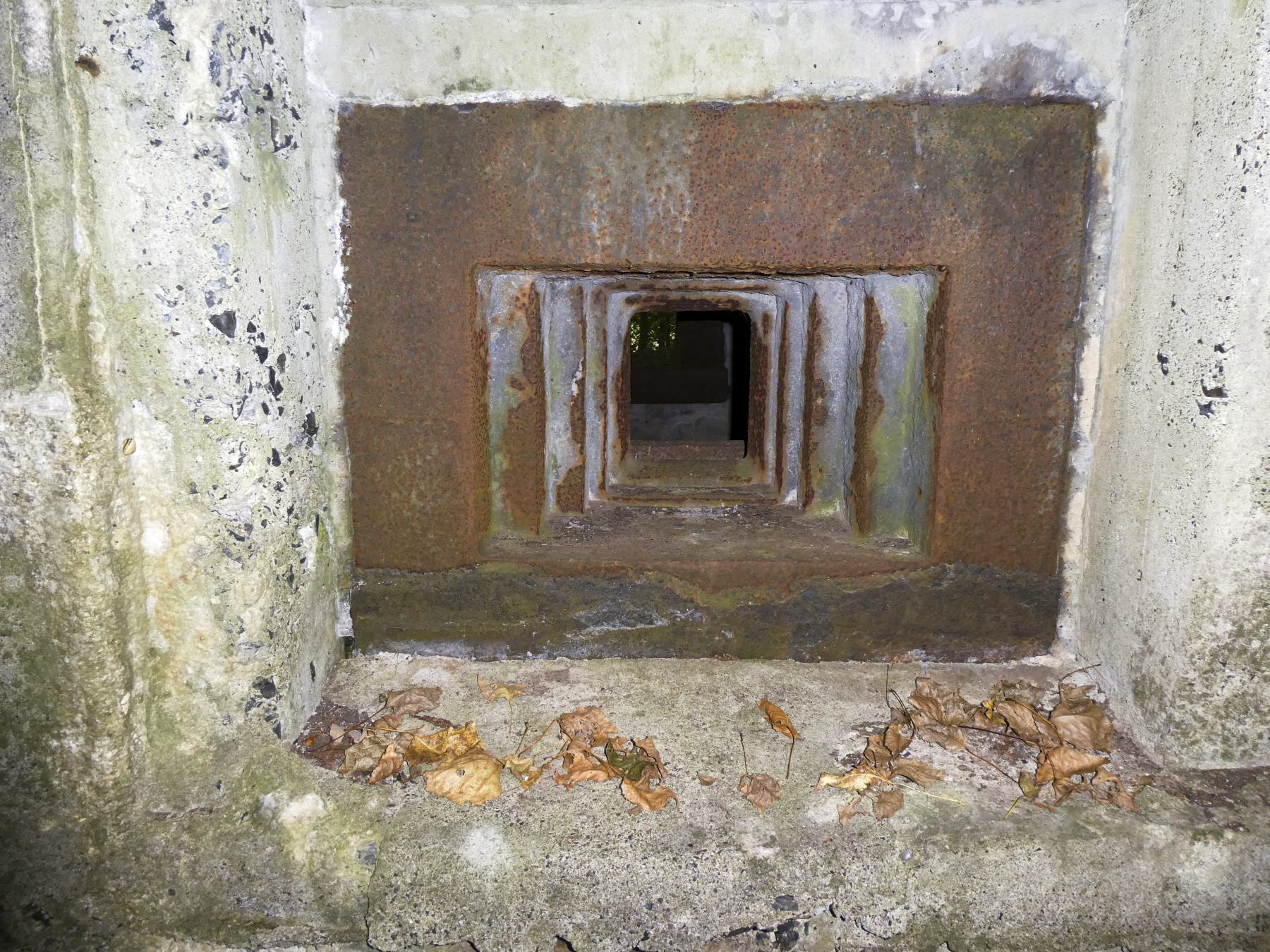 Ligne Maginot - TRINQUETTE (PDS) - (Blockhaus pour arme infanterie) -  - ELLENA Daniel - CUNY Philippe