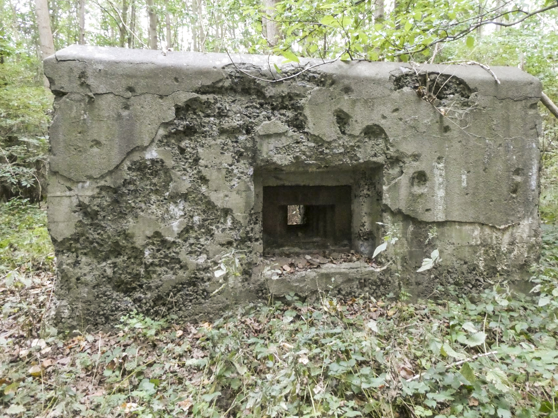 Ligne Maginot - TRINQUETTE (PDS) - (Blockhaus pour arme infanterie) - Créneau frontal - ELLENA Daniel - CUNY Philippe