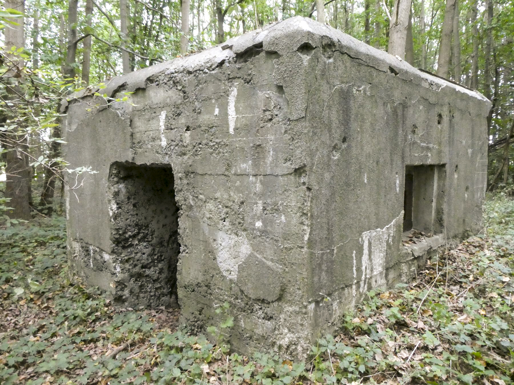 Ligne Maginot - TRINQUETTE (PDS) - (Blockhaus pour arme infanterie) - Vue de derrière, créneau droit - ELLENA Daniel - CUNY Philippe