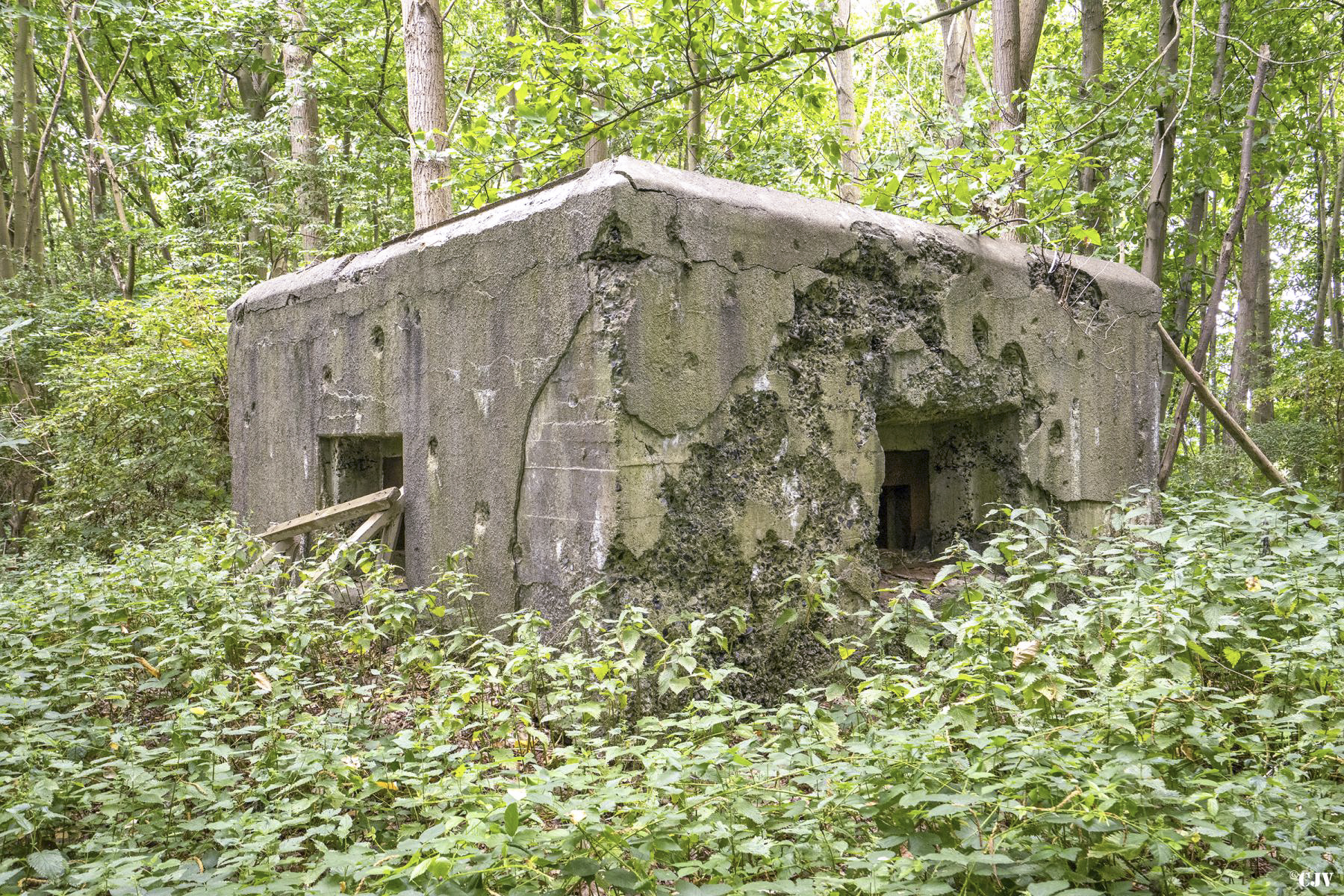 Ligne Maginot - TRINQUETTE (PDS) - (Blockhaus pour arme infanterie) -  - Lia VERMEULEN