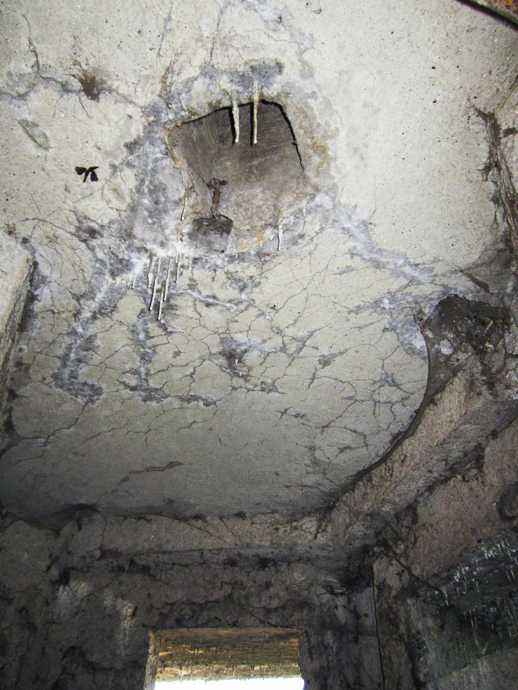 Ligne Maginot - A64 - QUATRE VENTS - (Blockhaus lourd type STG / STG-FCR - Double) - Réservation pour un éventuel périscope - Gregory Fuchs