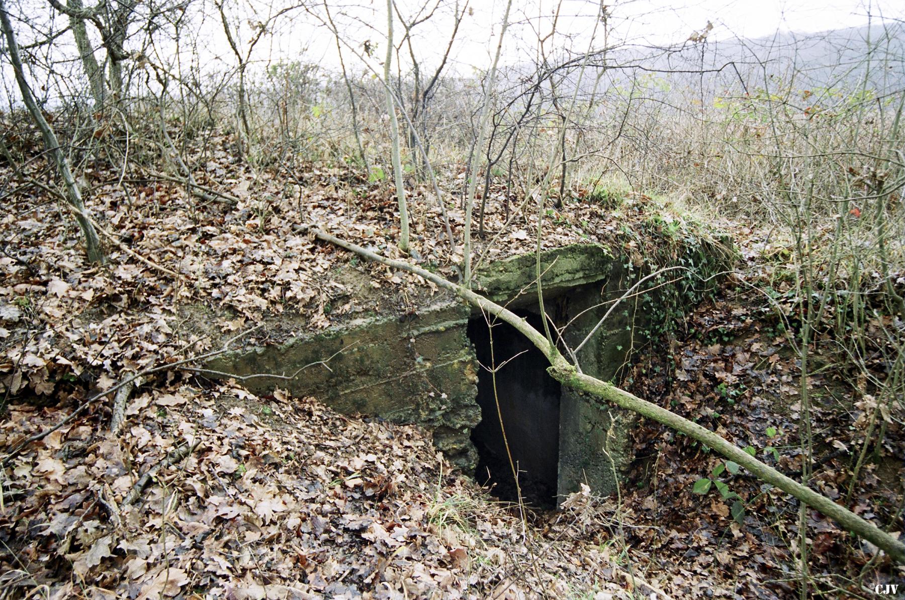 Ligne Maginot - CB206 - KOBENBUSCH - (Blockhaus pour arme infanterie) -  - Lia VERMEULEN