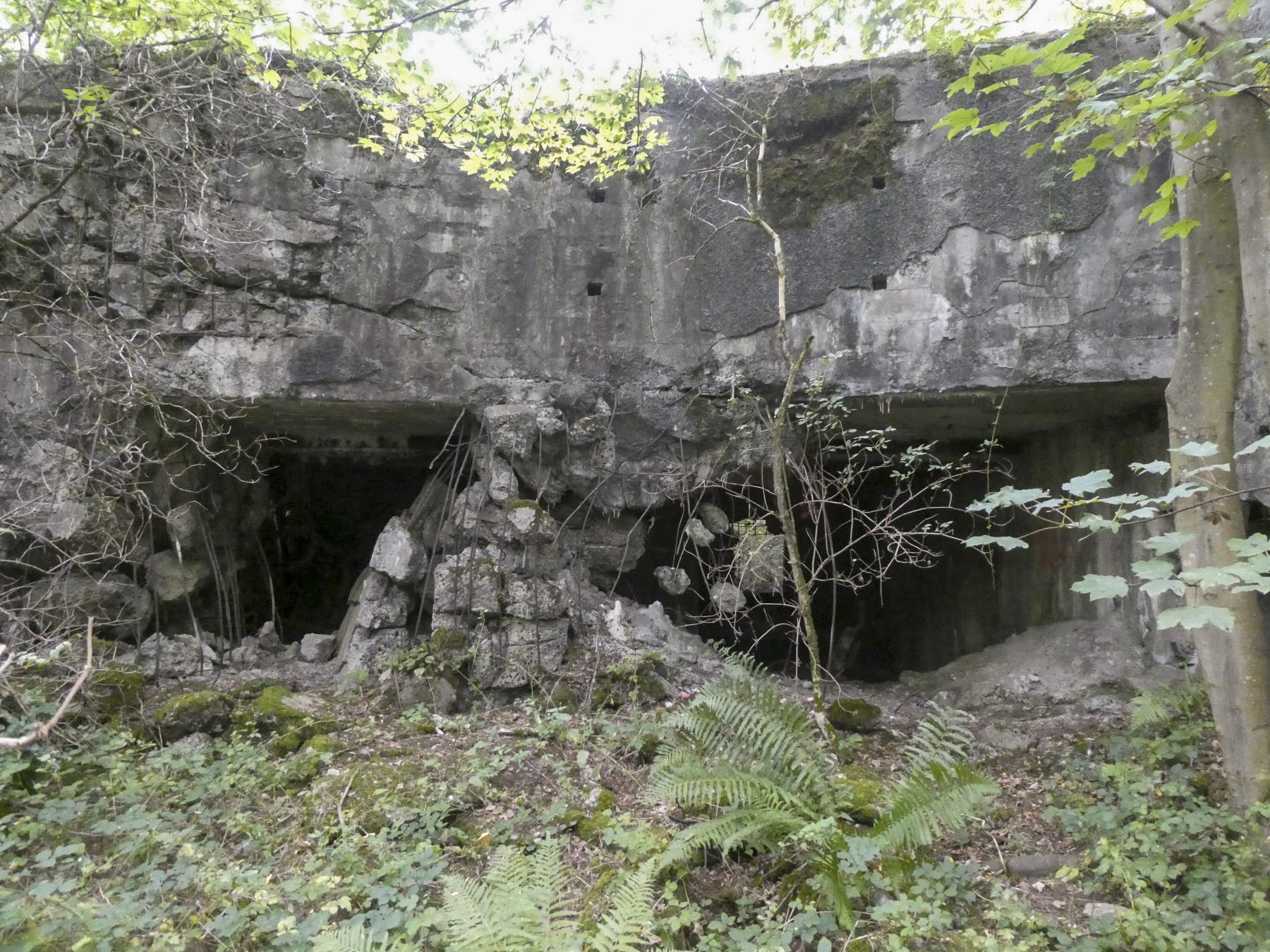 Ligne Maginot - FORT DE MAULDE OUEST - (Casemate d'artillerie) - Les deux entrées pour canons - ELLENA Daniel - CUNY Philippe