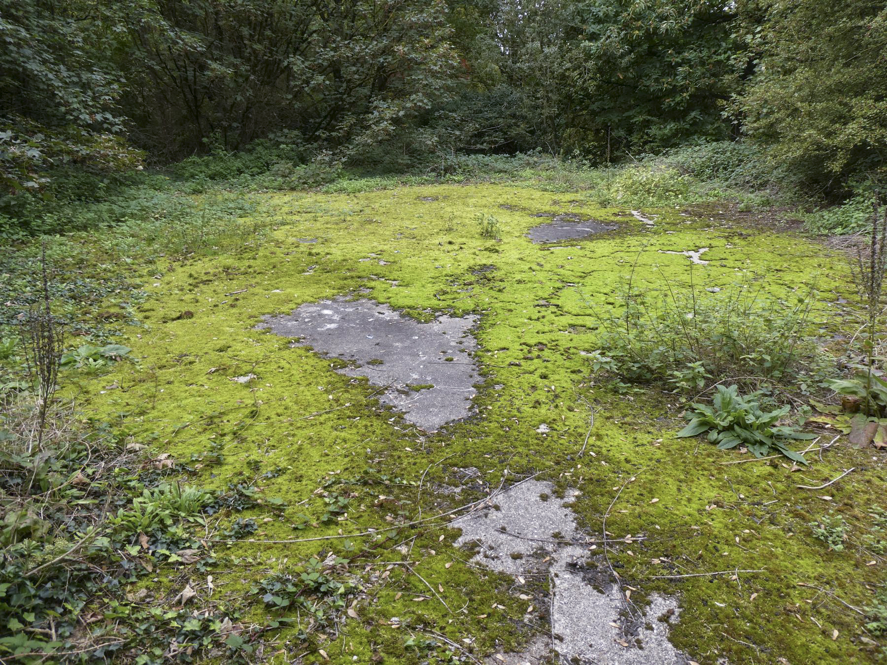 Ligne Maginot - FORT DE MAULDE EST - (Casemate d'artillerie) - La dalle supérieure  - ELLENA Daniel - CUNY Philippe