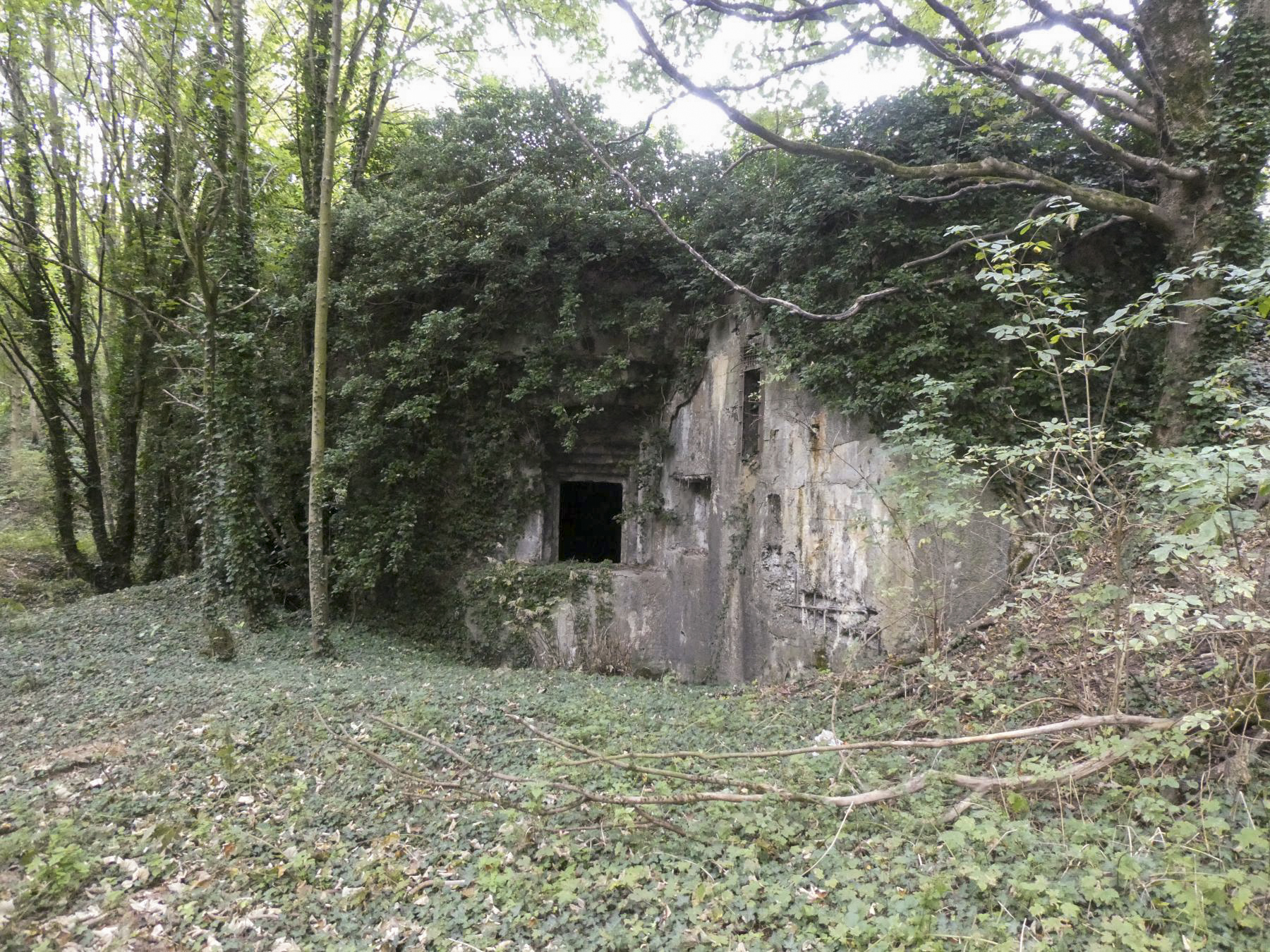 Ligne Maginot - FORT DE MAULDE EST - (Casemate d'artillerie) -  Une embrasure pour canon  - ELLENA Daniel - CUNY Philippe