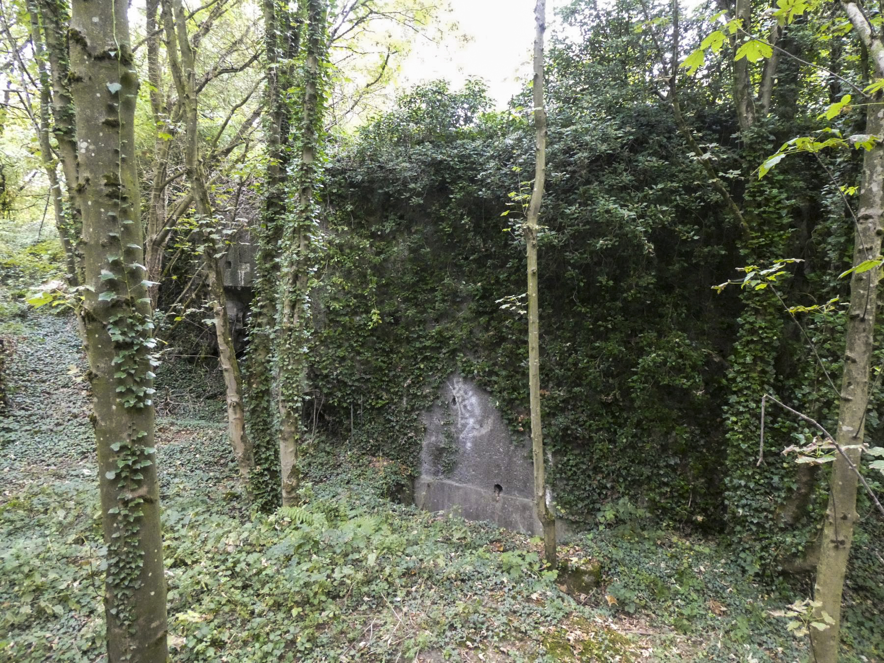 Ligne Maginot - FORT DE MAULDE EST - (Casemate d'artillerie) -  - ELLENA Daniel - CUNY Philippe