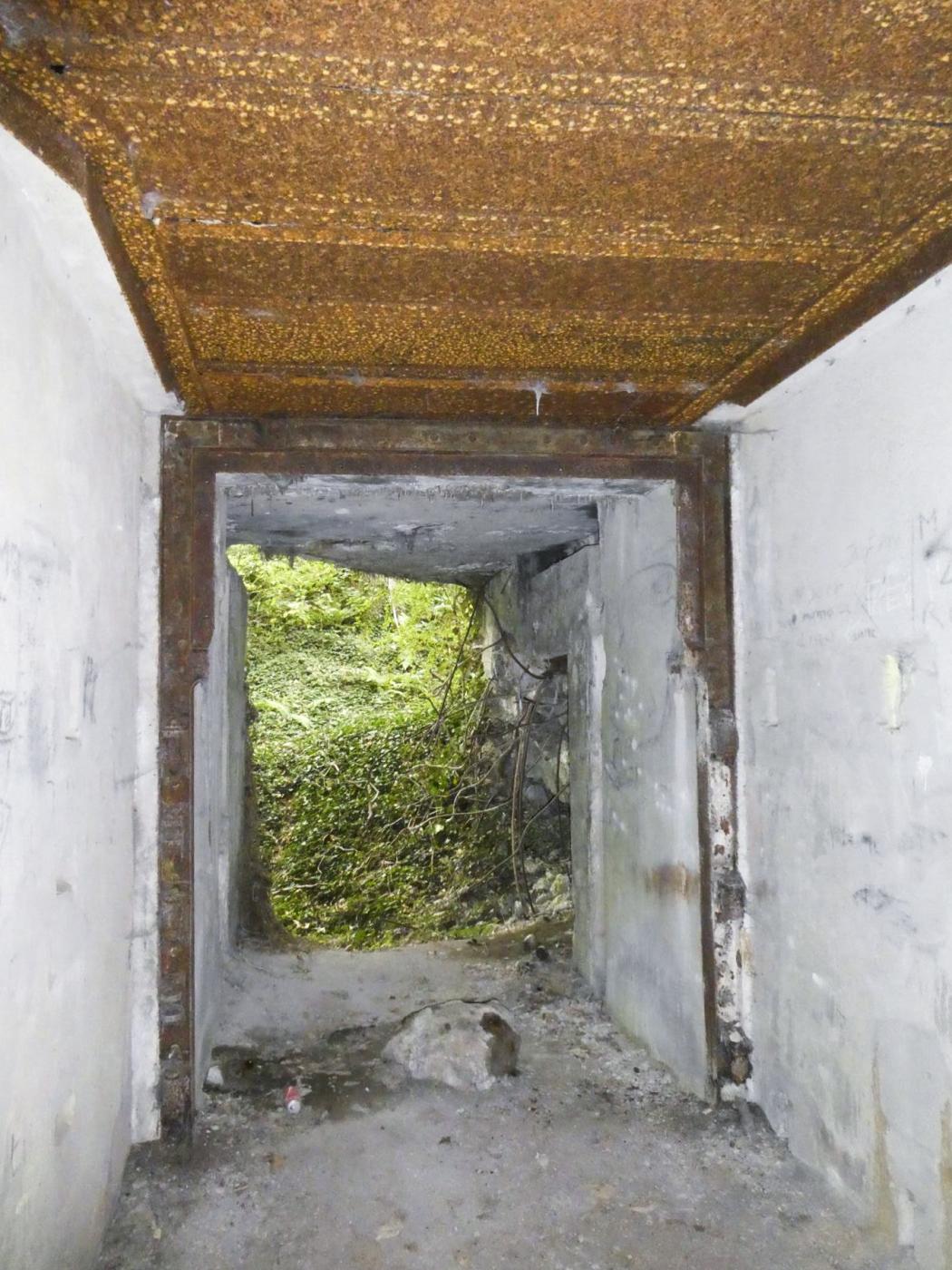 Ligne Maginot - FORT DE MAULDE EST - (Casemate d'artillerie) -  - ELLENA Daniel - CUNY Philippe