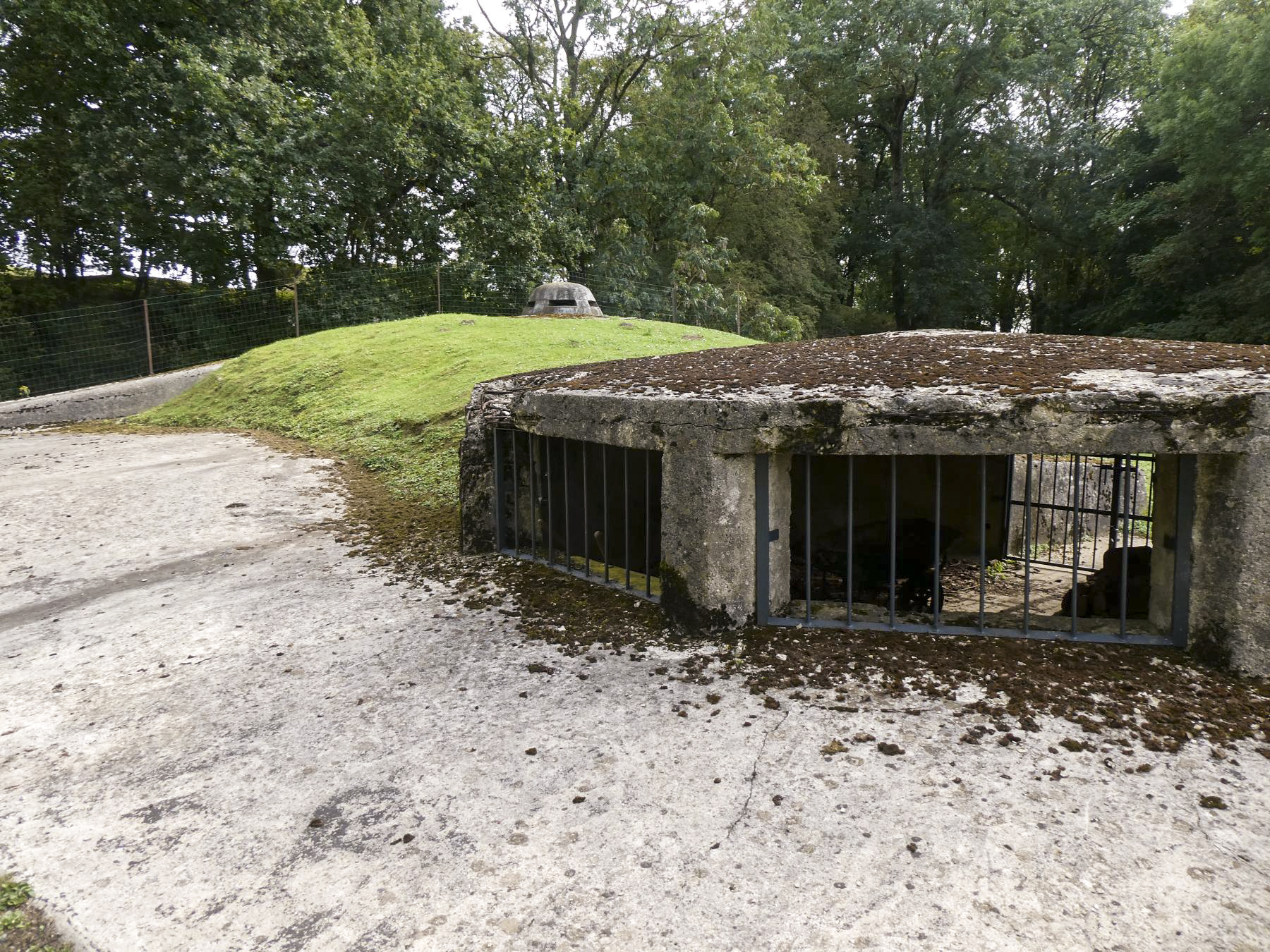 Ligne Maginot - B609 - LEVEAU SUD - (Observatoire d'artillerie) - Au premier plan, l'emplacement de l'ancienne tourelle de 75 mm - ELLENA Daniel - CUNY Philippe