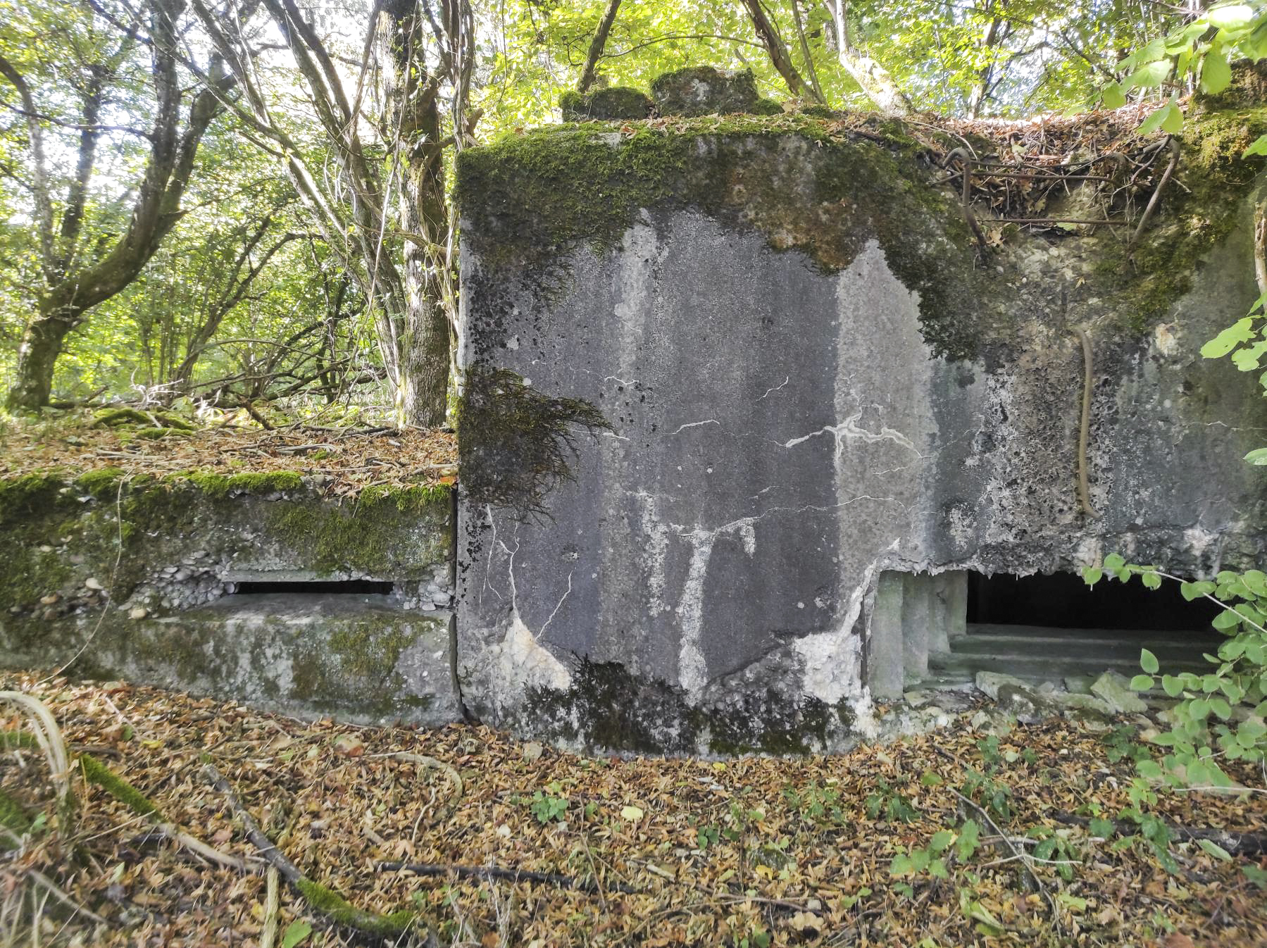 Ligne Maginot - AB313 - ROSSELN 2 - (Blockhaus pour canon) - Créneau de tir et guérite d'observation sur la gauche.  - BlackMamba73