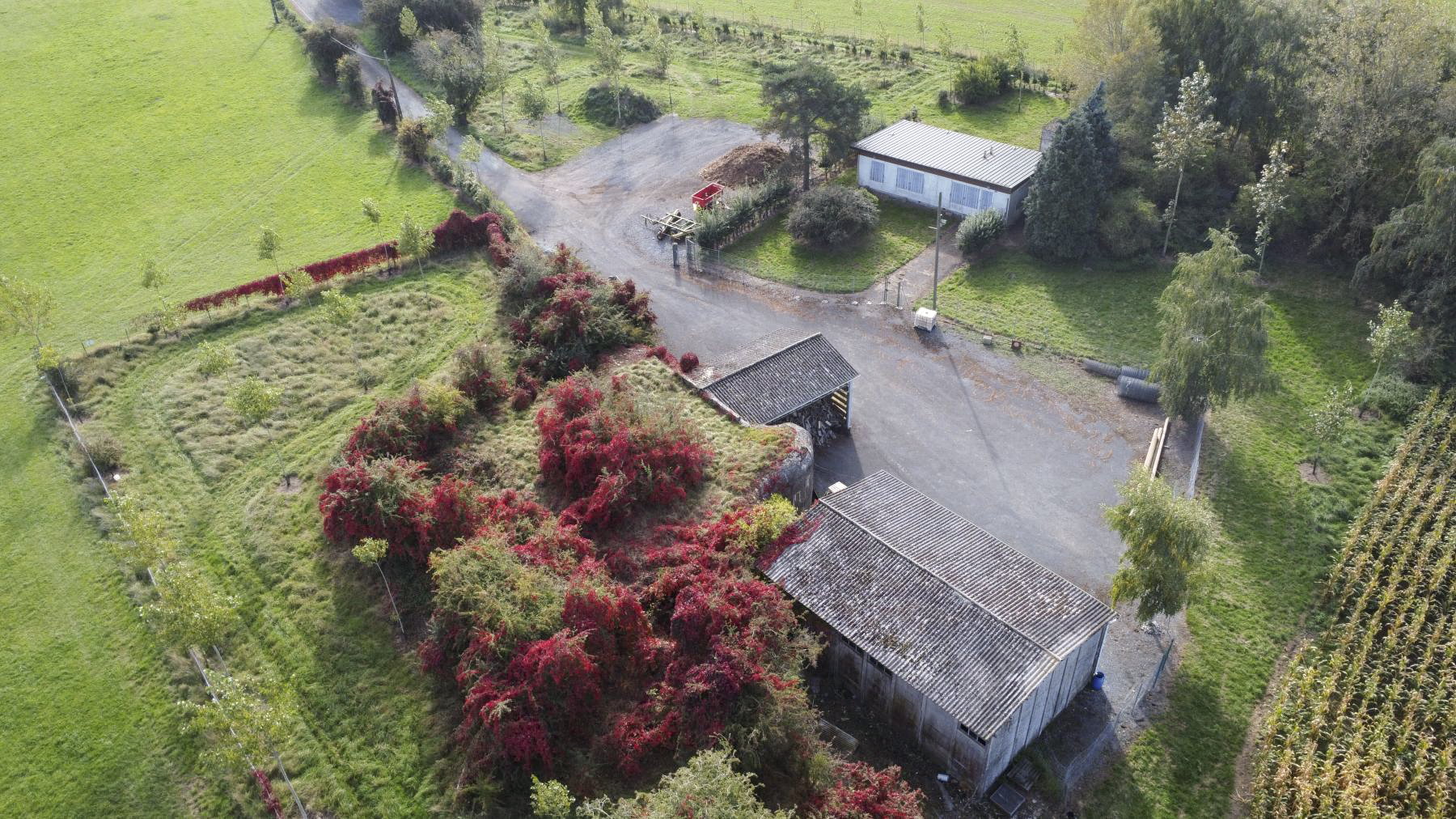Ligne Maginot - ETH - (Ouvrage d'infanterie) -  - ELLENA Daniel - CUNY Philippe