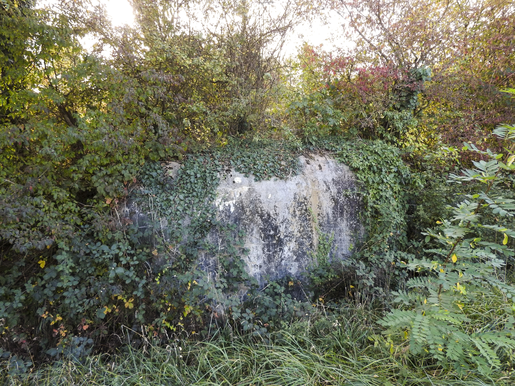 Ligne Maginot - Q2 - (Chambre de coupure) - La chambre de coupure au bord de la D677. - STENGER Mathieu