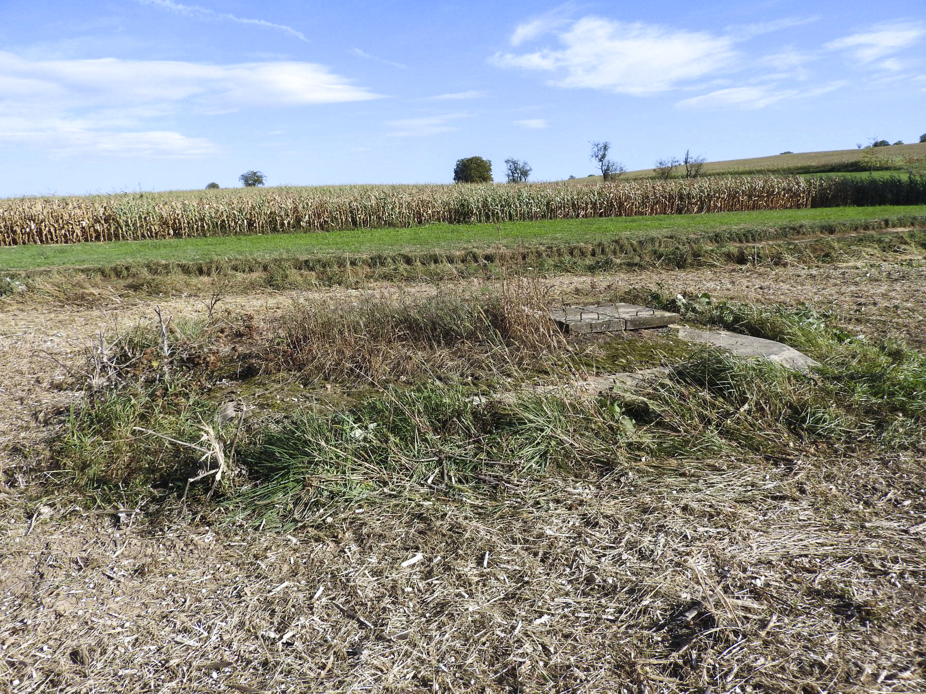 Ligne Maginot - R - (Chambre de coupure) - La chambre de coupure dans les champs. - STENGER Mathieu