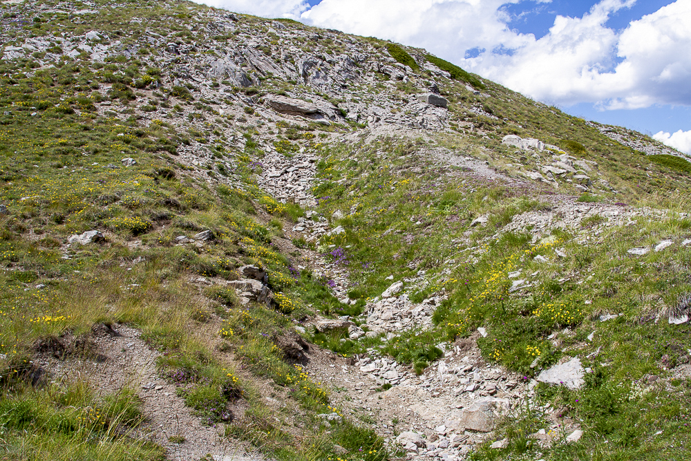 Ligne Maginot - GONDRAN E - (Ouvrage d'infanterie) - Bloc 4
Amorce de fouille à l'emplacement prévu pour bloc jamais construit - Michel Teiten