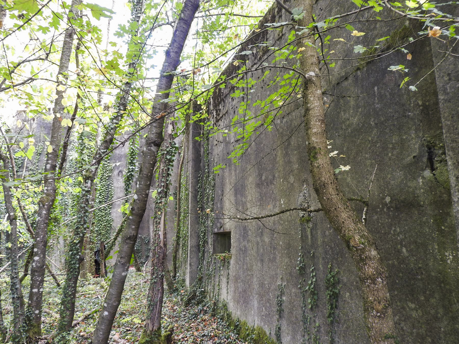 Ligne Maginot - LANGENSOULTZBACH - (Stand de tir) - Le mur d'aile gauche et son créneau - STENGER Mathieu