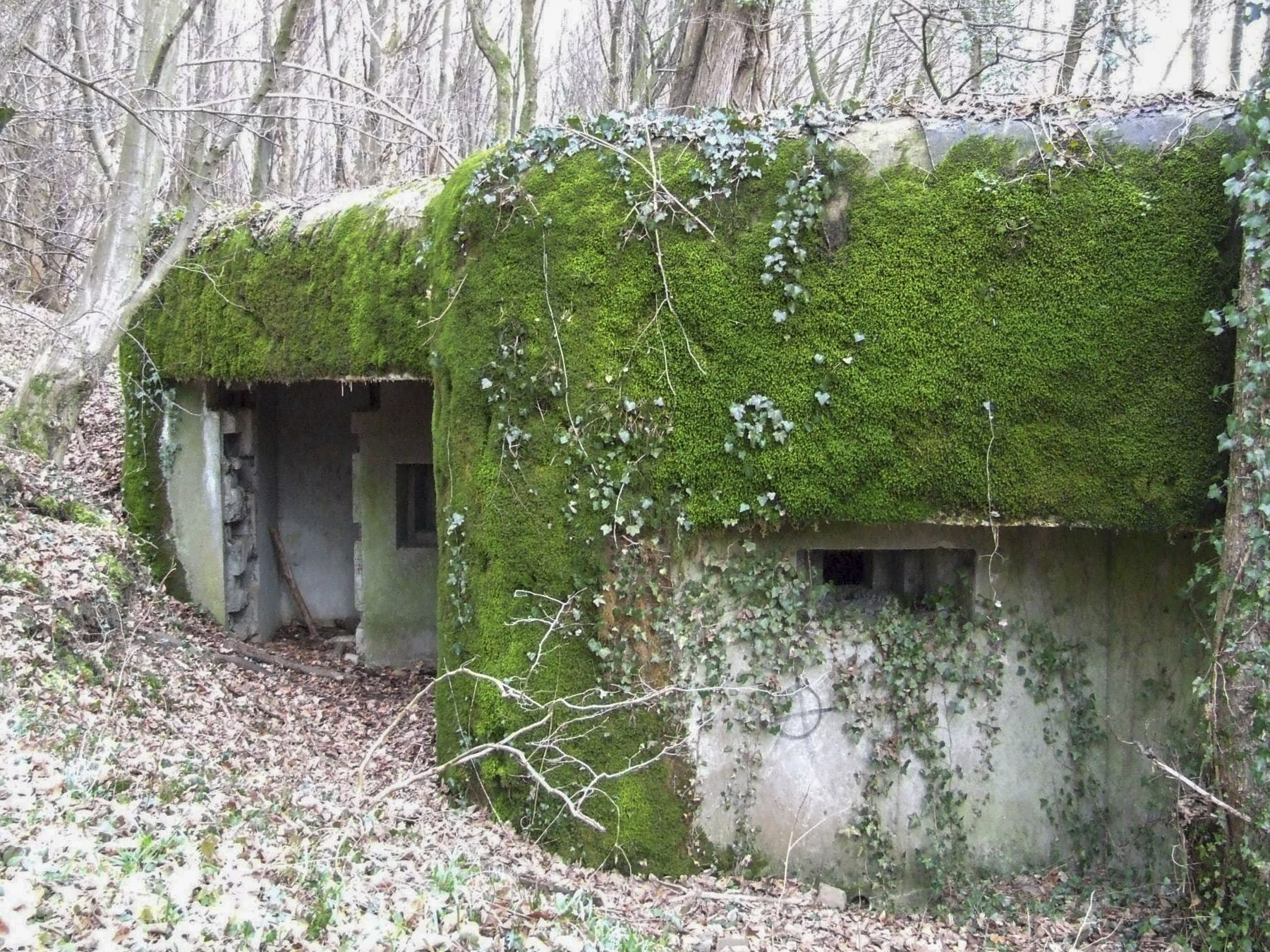 Ligne Maginot - SCHIRRHEINERWEG OUEST - (Casemate d'infanterie - Simple) - L'entrée homme et le créneau mitrailleuse. - STENGER Mathieu