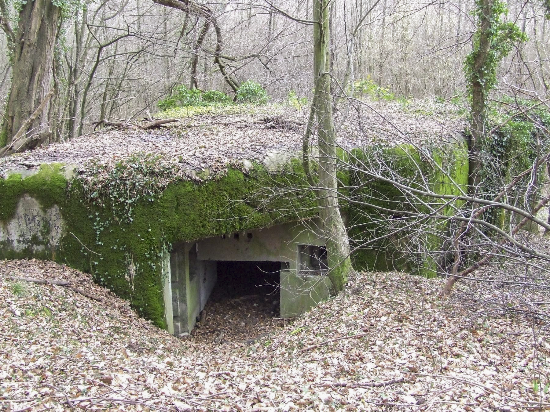 Ligne Maginot - SCHIRRHEINERWEG OUEST - (Casemate d'infanterie - Simple) - La façade arrière avec les entrées. - STENGER Mathieu