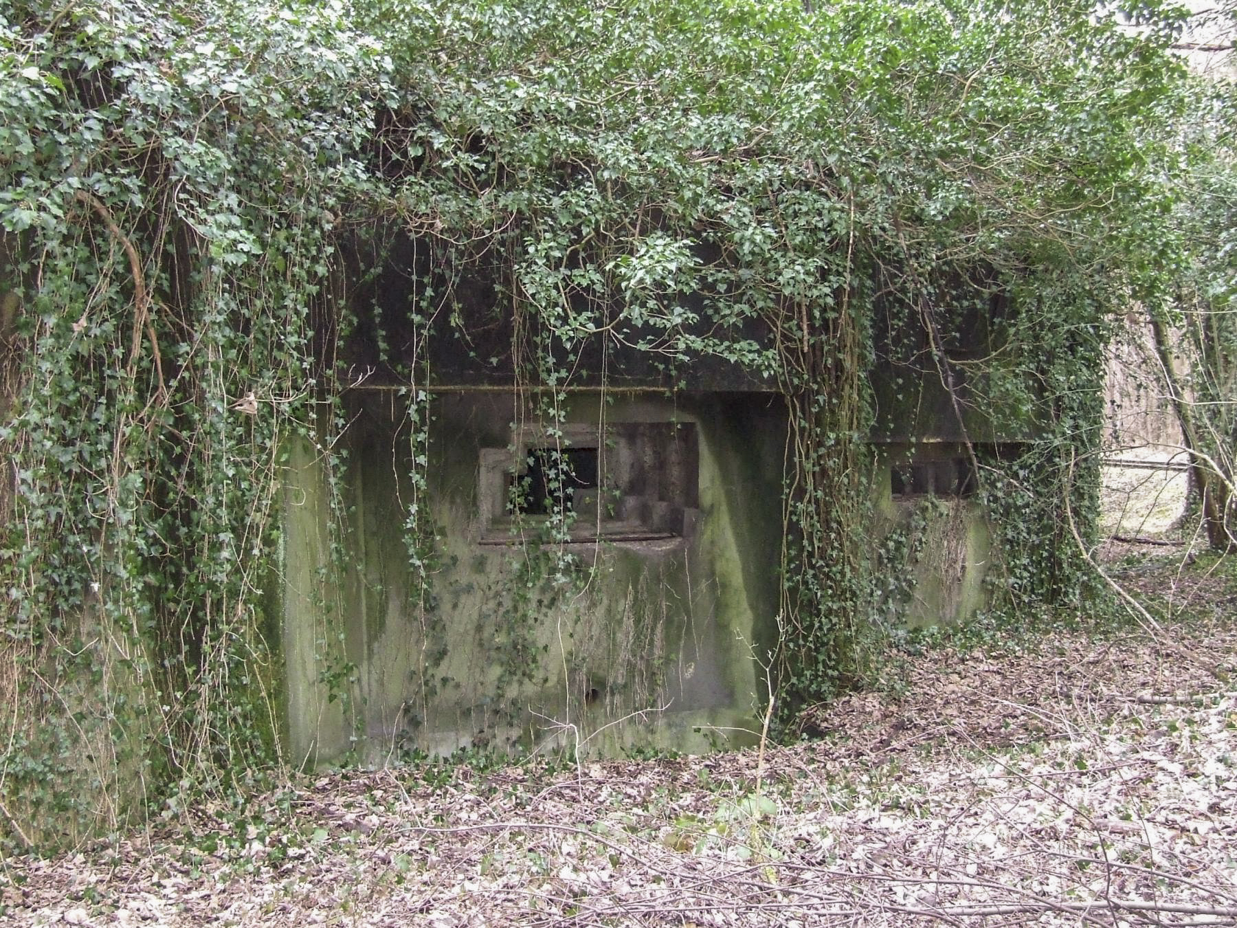 Ligne Maginot - SCHIRRHEINERWEG EST - (Casemate d'infanterie - Simple) - La façade de tir vers le nord. - STENGER Mathieu