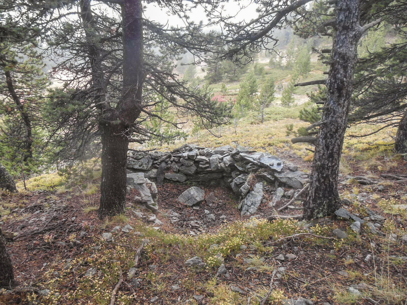 Ligne Maginot - COL DE GRANON (154° RAP - 8° BIE) - (Position d'artillerie préparée) - Un des nombreux cuves de protection de la batterie coté Guisane - Jean Berthier
