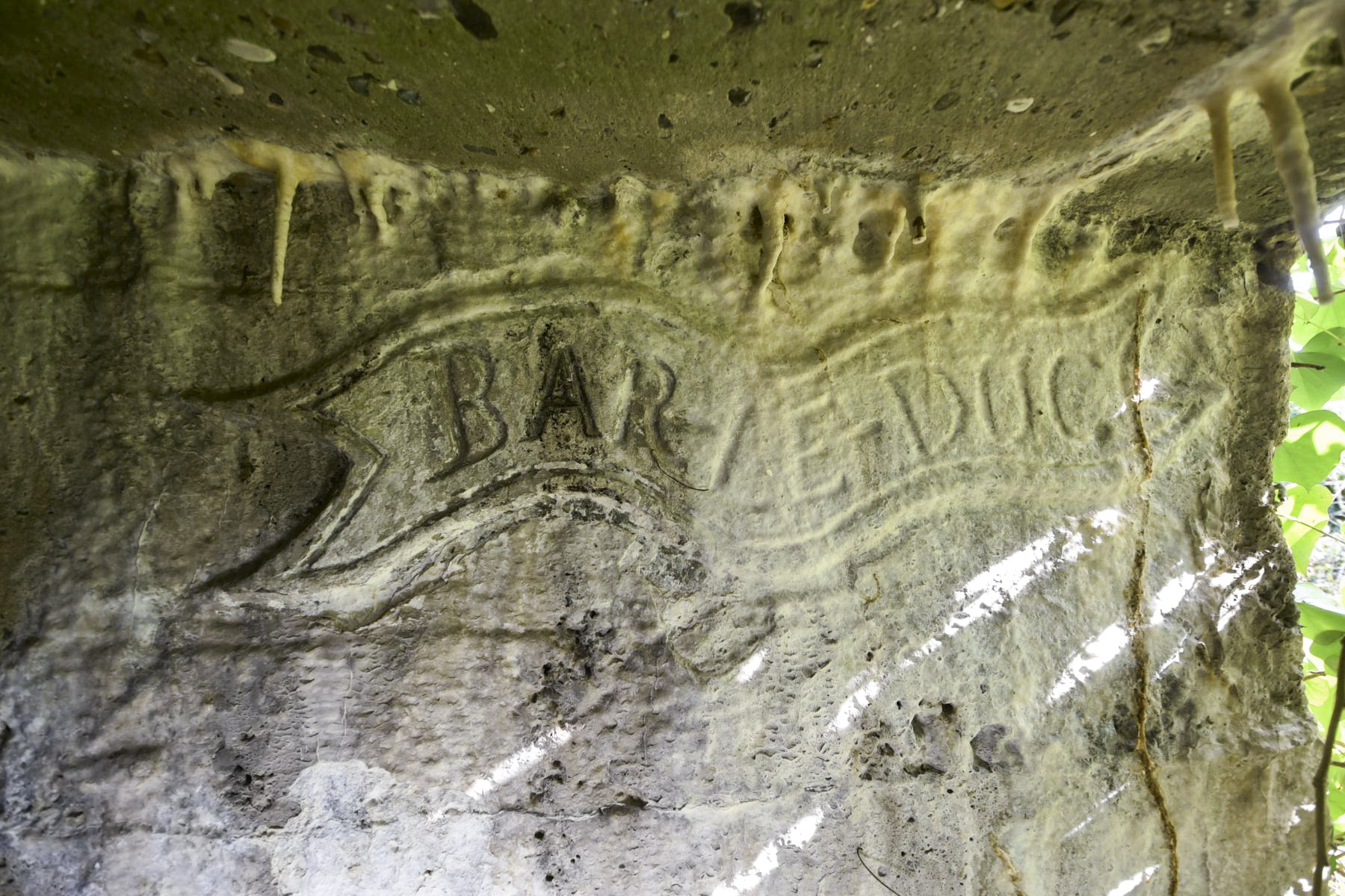 Ligne Maginot - B24 - BAR-LE-DUC - (Blockhaus pour arme infanterie) -  - Ludovic KNAPP