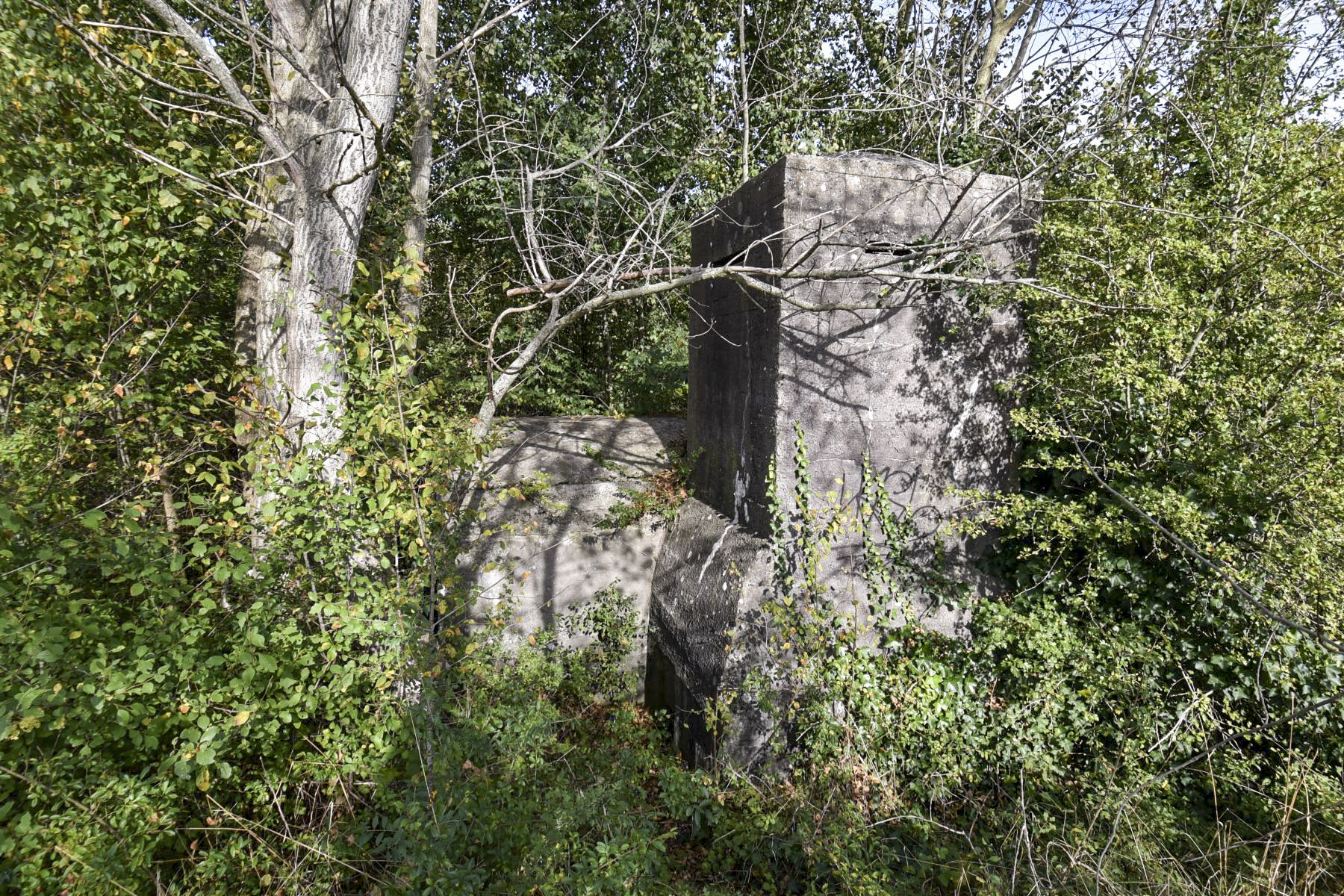 Ligne Maginot - B22 - MOULINS - (Blockhaus pour arme infanterie) -  - Ludovic KNAPP